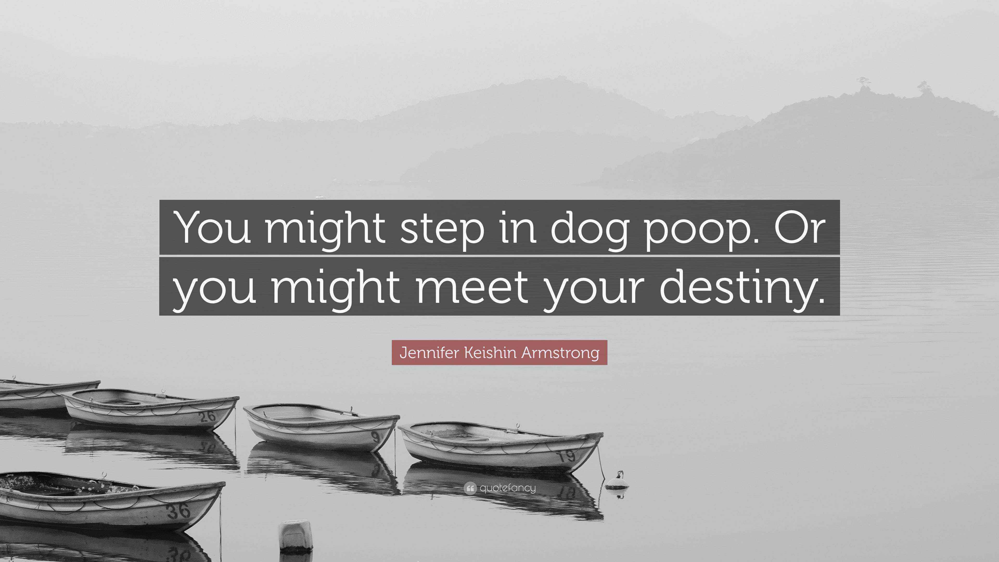 Jennifer Keishin Armstrong Quote “You might step in dog poop. Or you