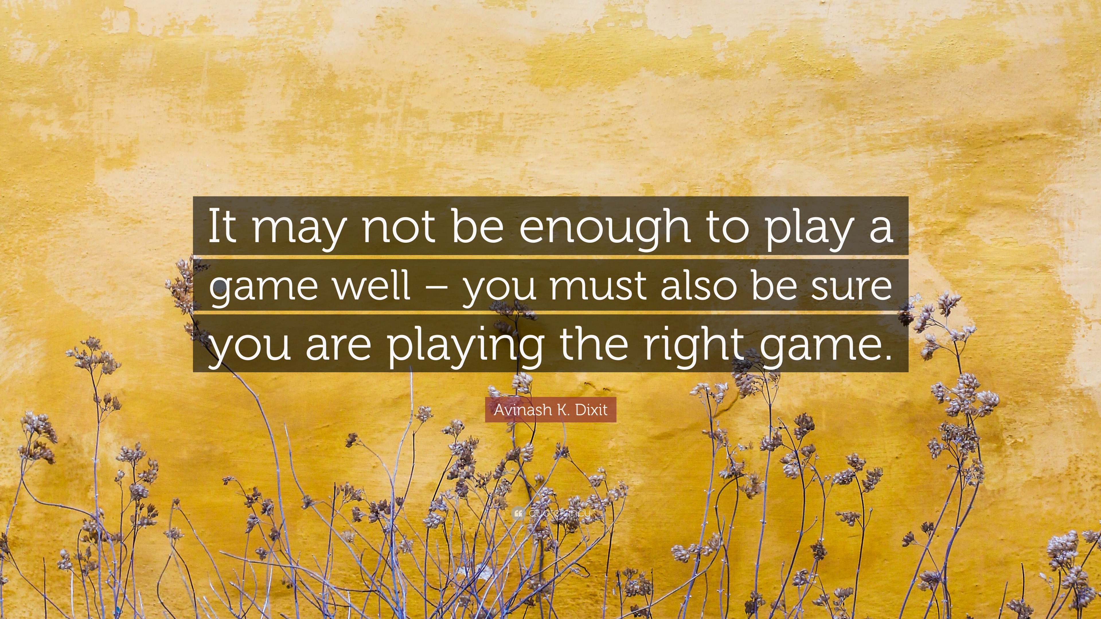 Avinash K. Dixit Quote: “It may not be enough to play a game well – you must