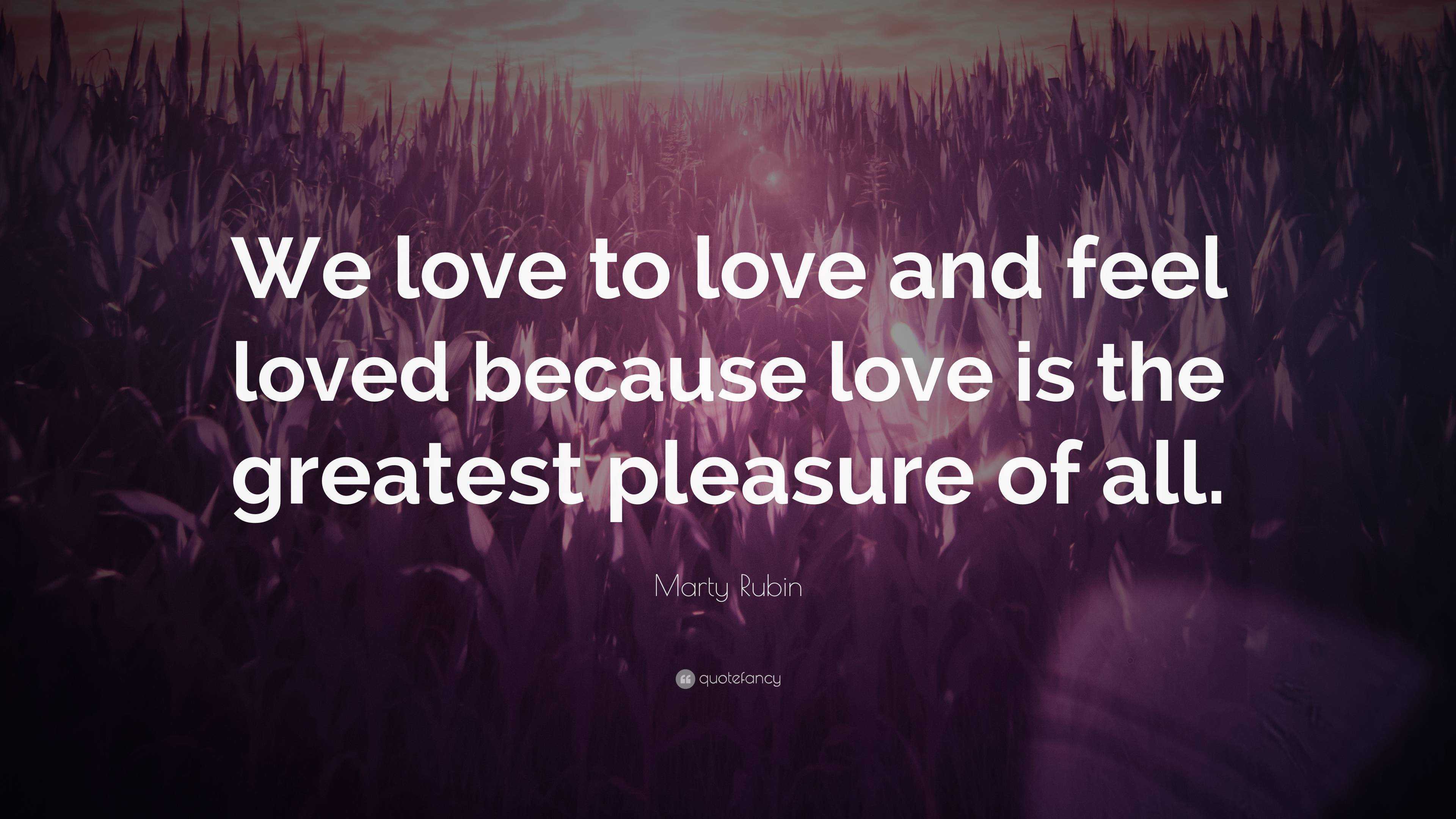 Marty Rubin Quote: “We love to love and feel loved because love is the ...