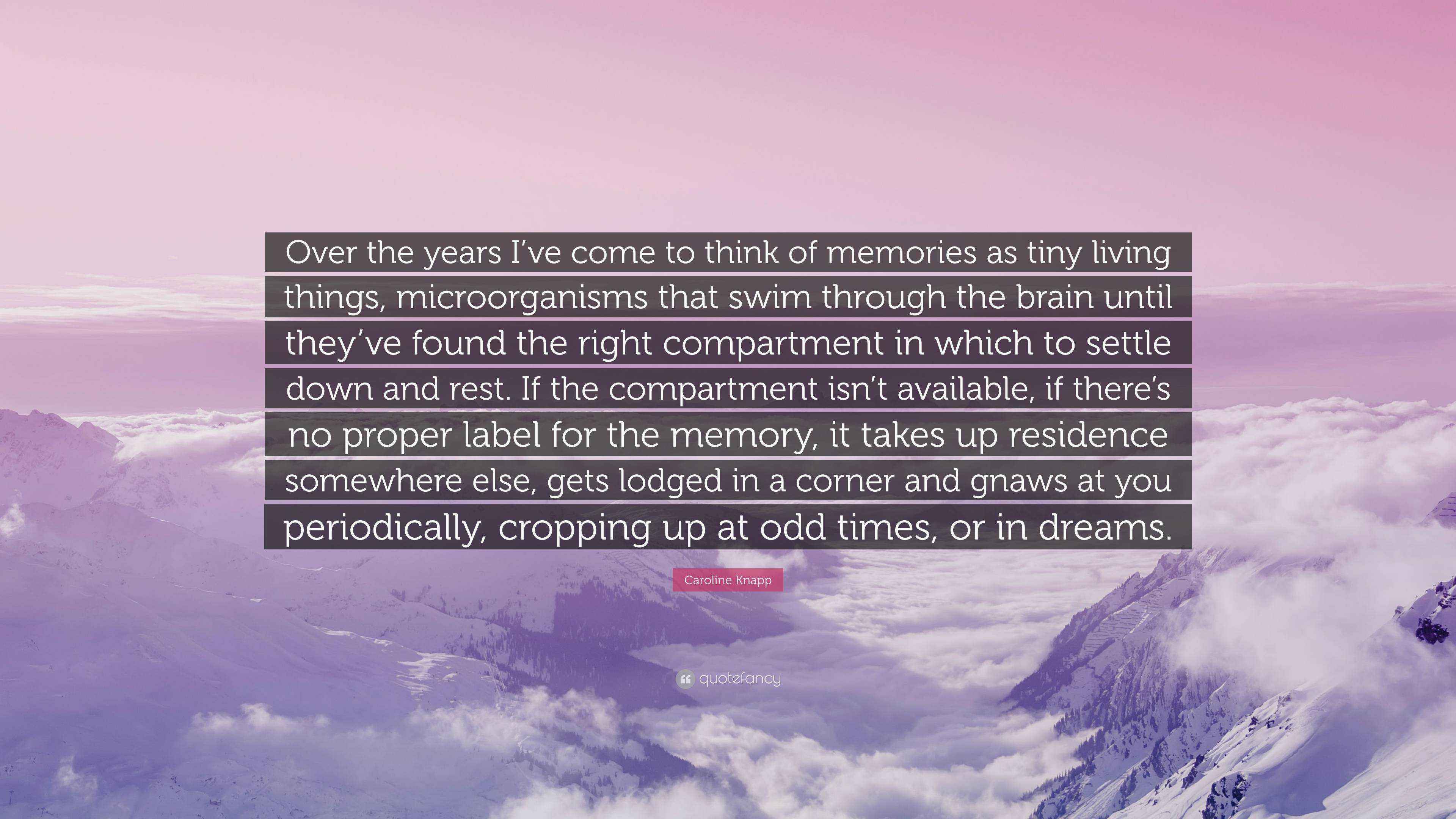 Caroline Knapp Quote Over The Years I Ve Come To Think Of Memories As Tiny Living Things Microorganisms That Swim Through The Brain Until Th