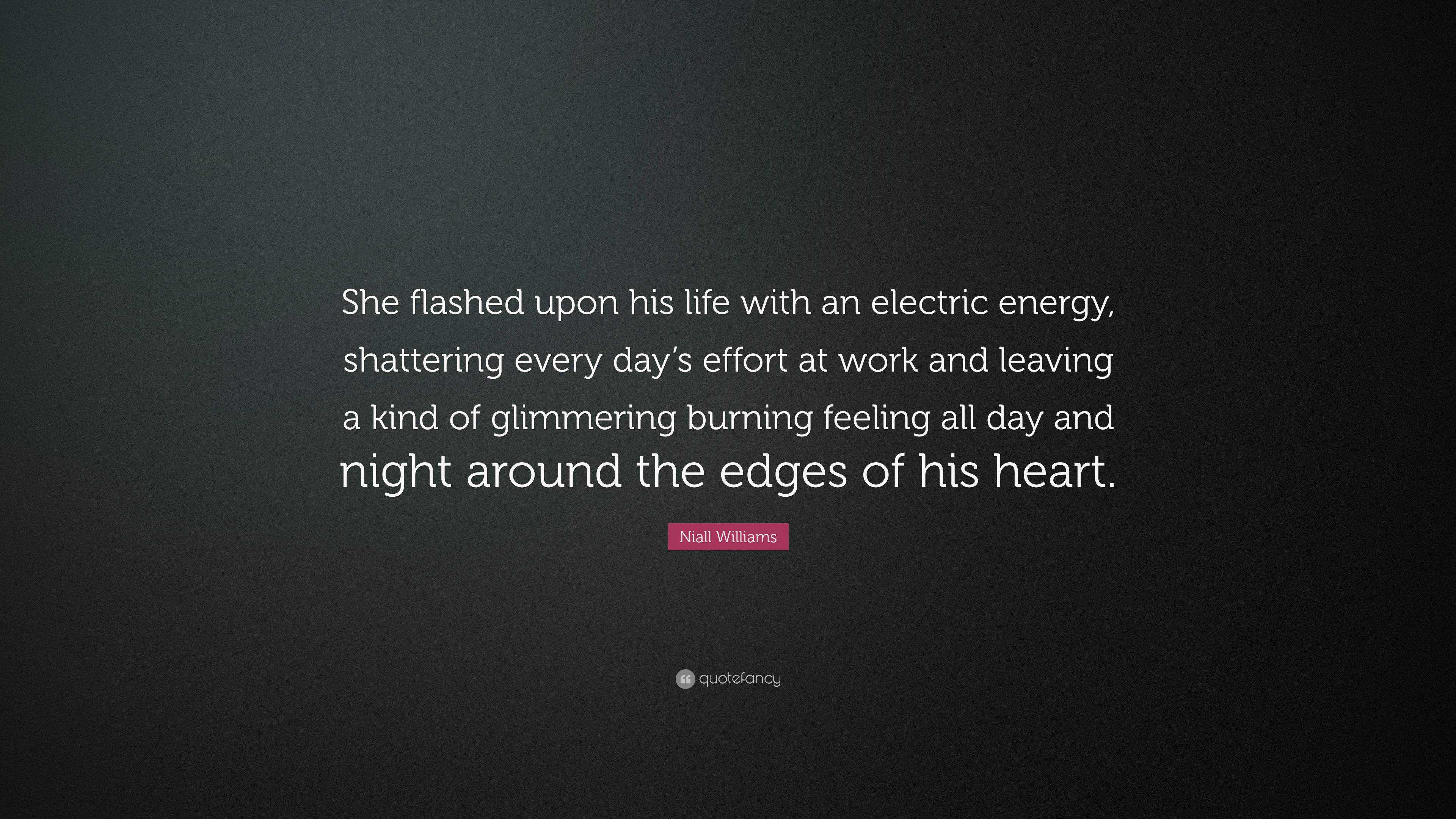 Niall Williams Quote: “She flashed upon his life with an electric ...