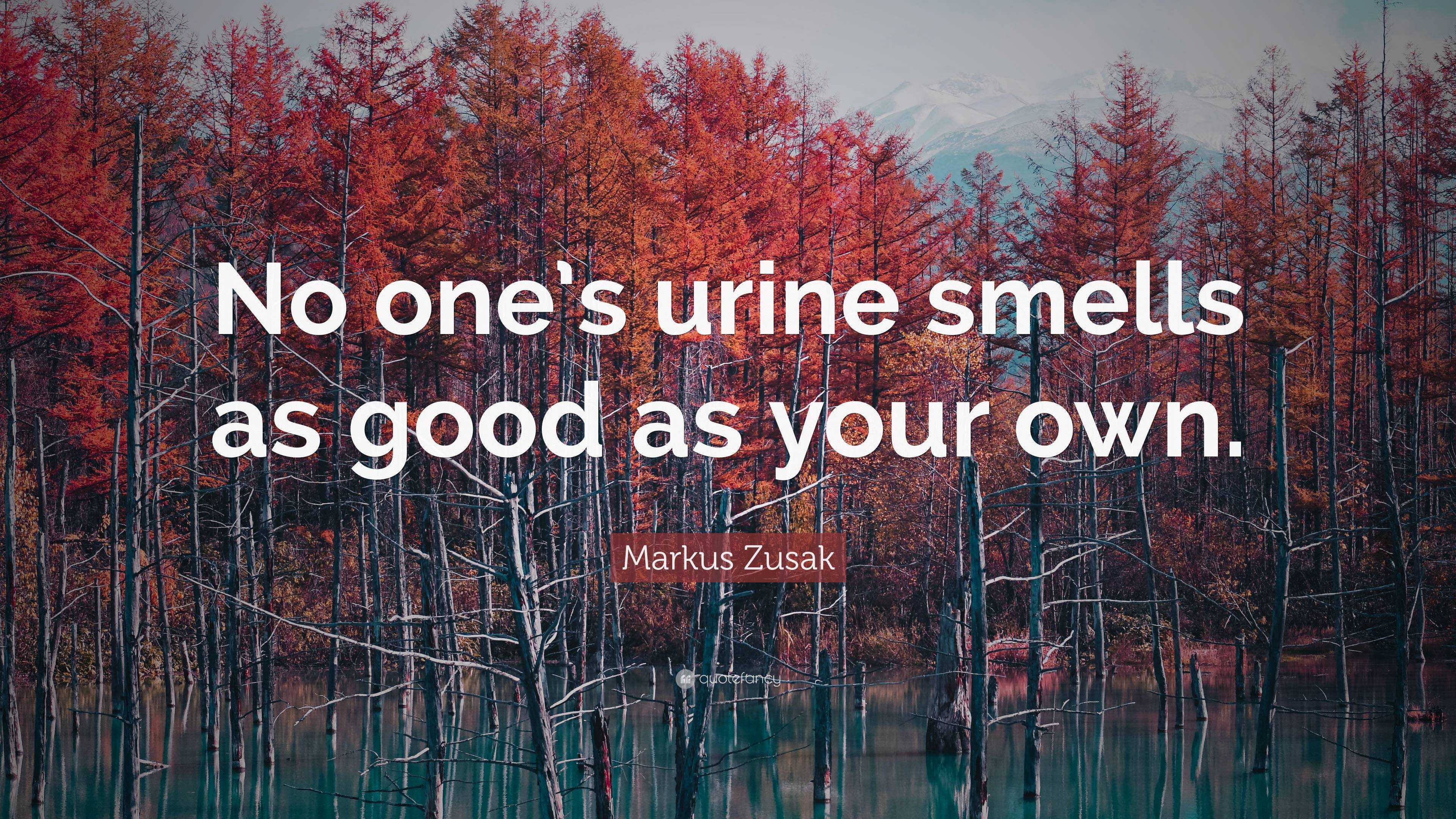 Markus Zusak Quote “no Ones Urine Smells As Good As Your Own” 2873