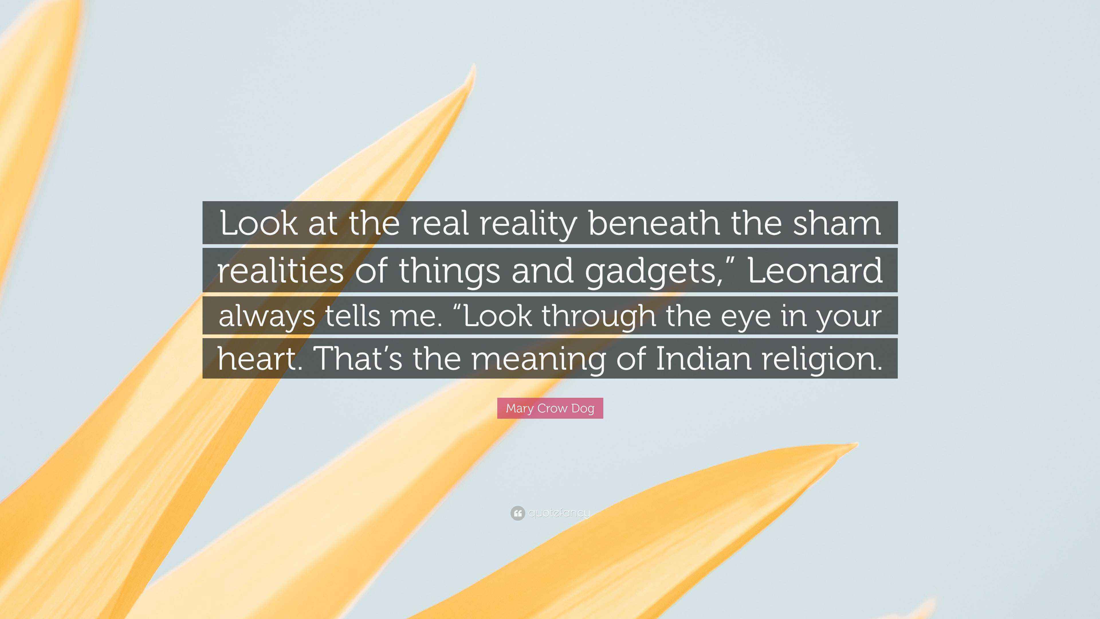 Mary Crow Dog Quote “Look at the real reality beneath the sham