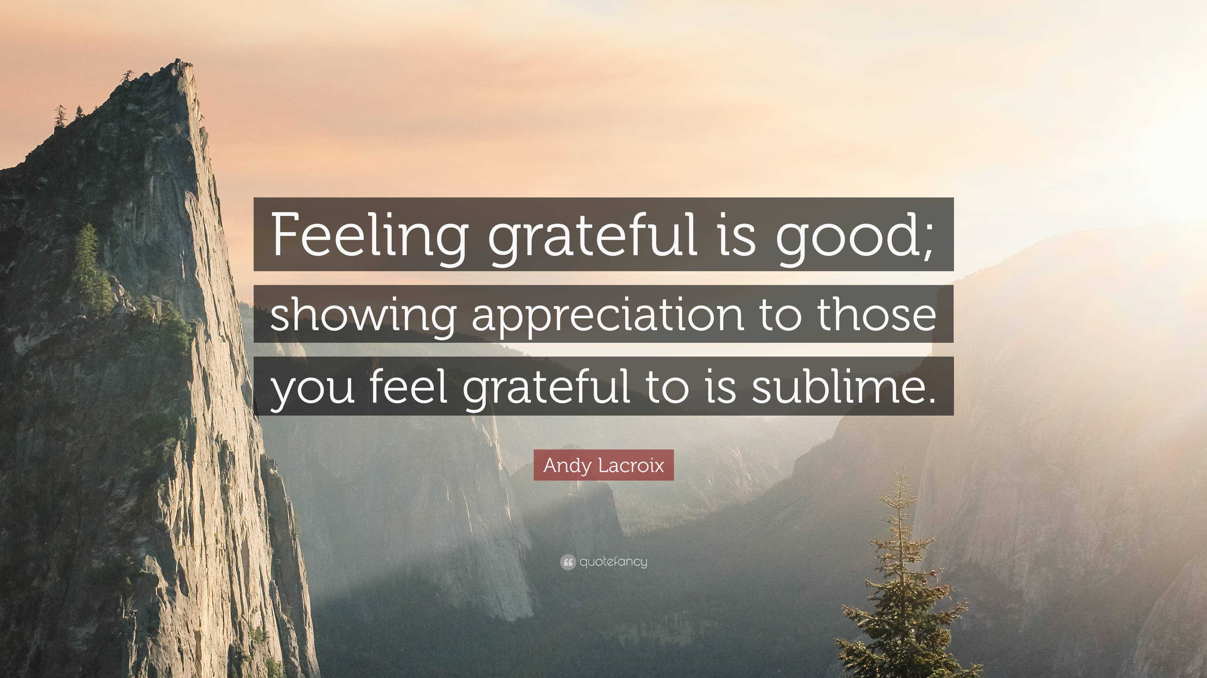 Andy Lacroix Quote: “Feeling grateful is good; showing appreciation to ...