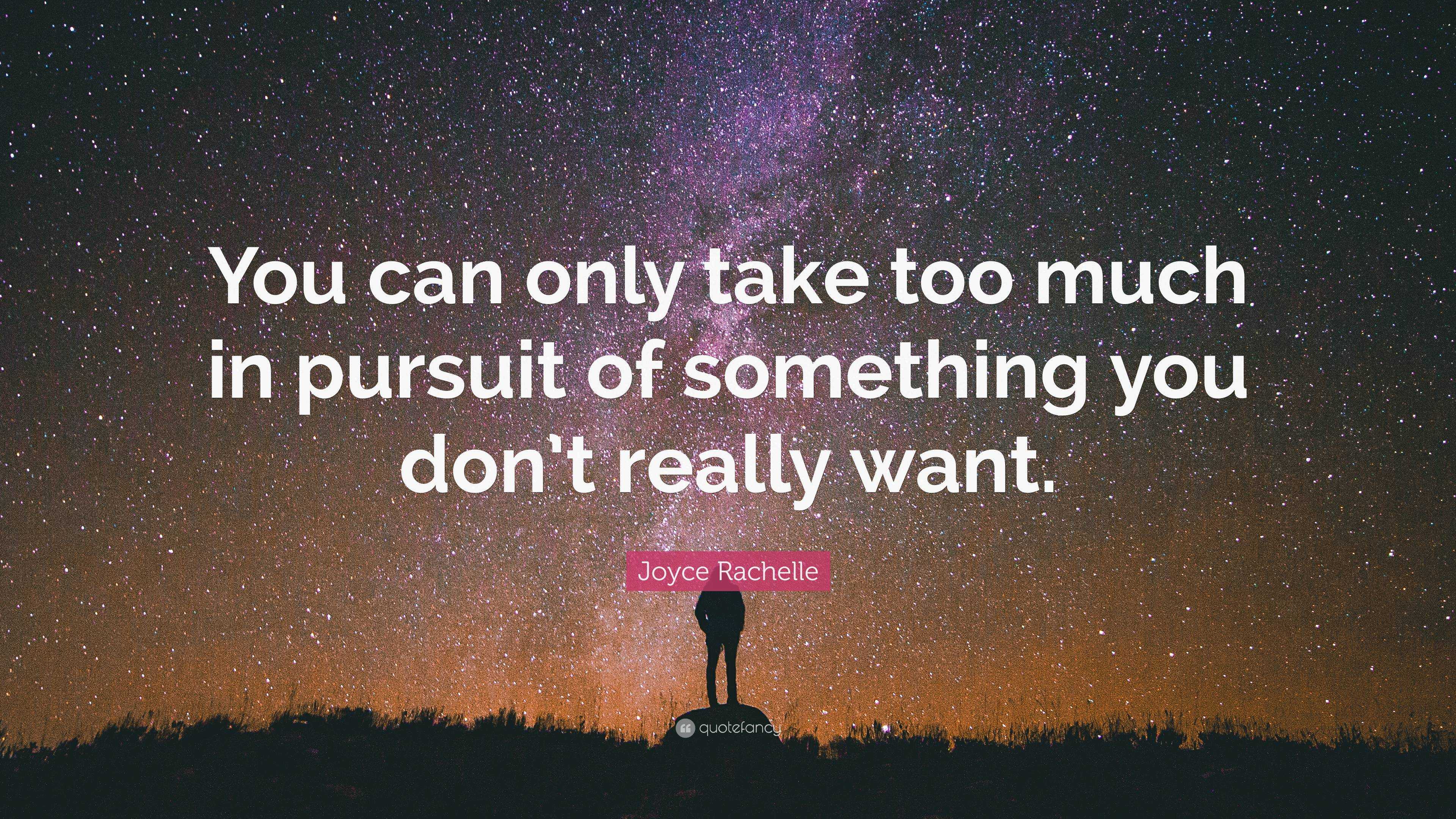 Joyce Rachelle Quote: “You can only take too much in pursuit of ...