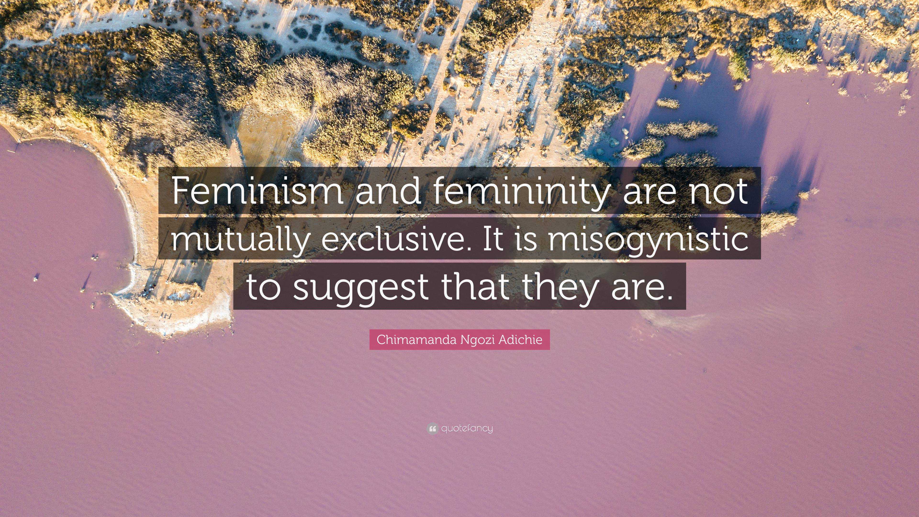 chimamanda ngozi adichie quotes feminism