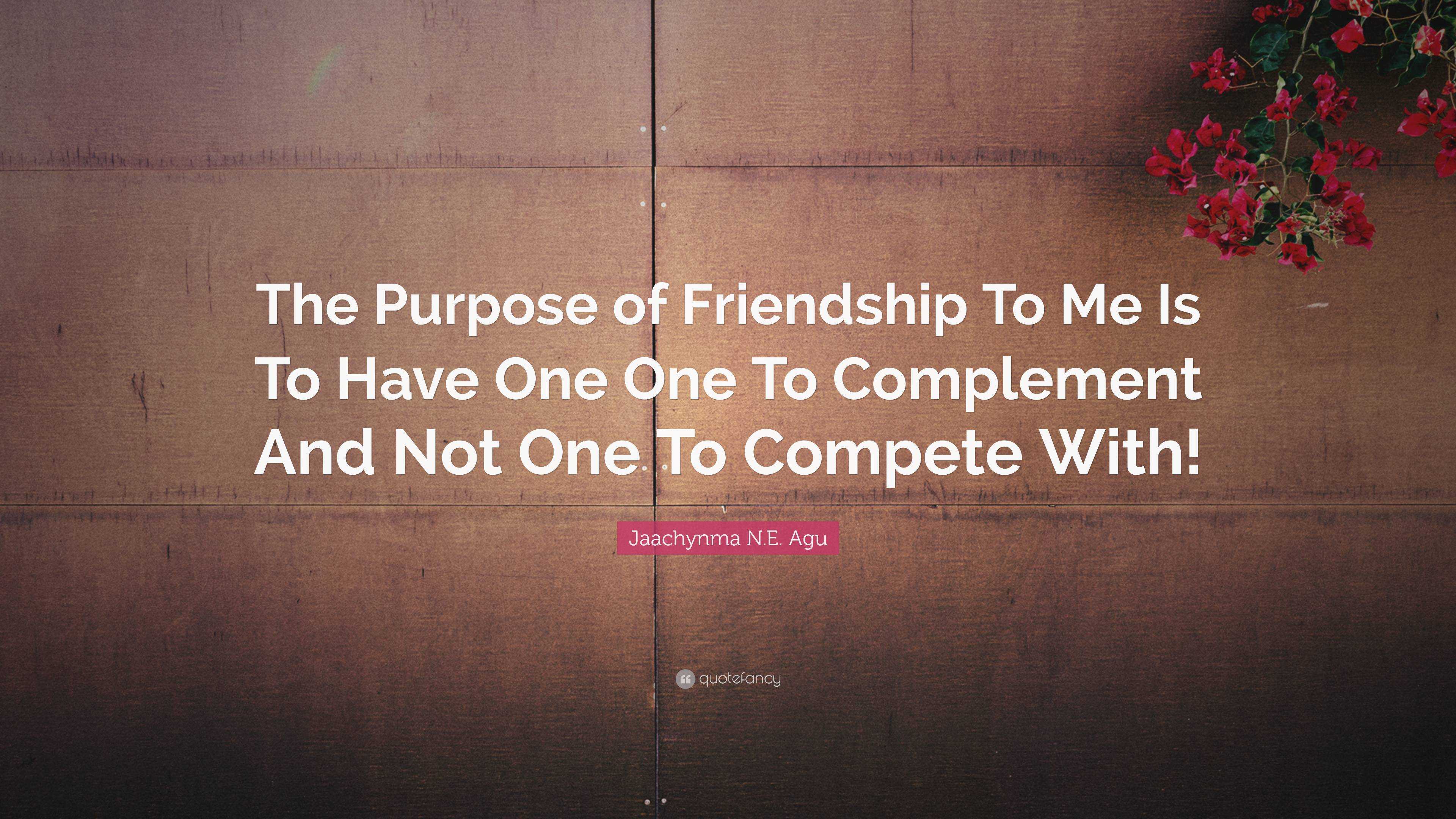 Jaachynma N.E. Agu Quote: “The Purpose of Friendship To Me Is To Have ...