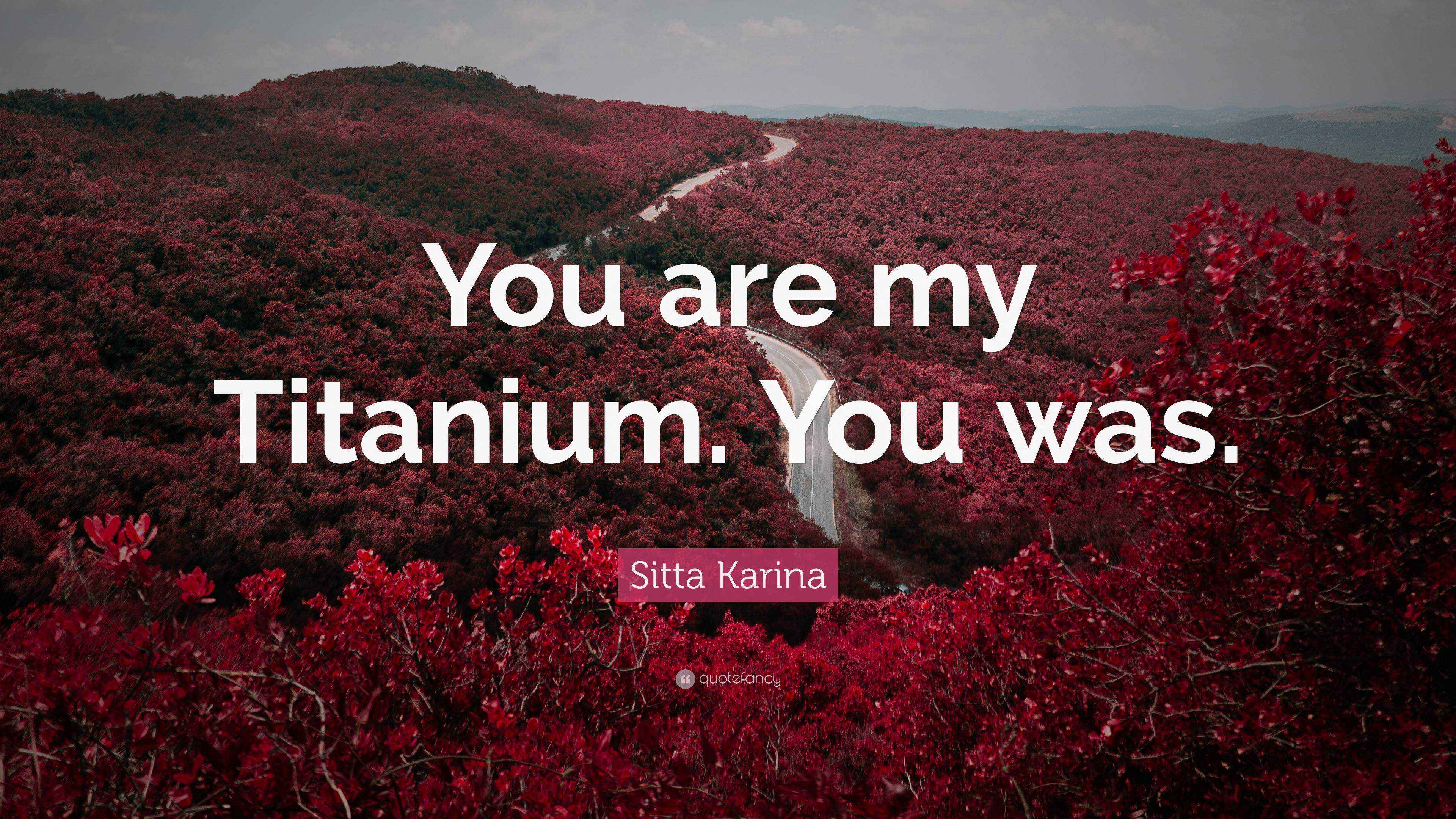 Sitta Karina Quote “You are my Titanium. You was.”