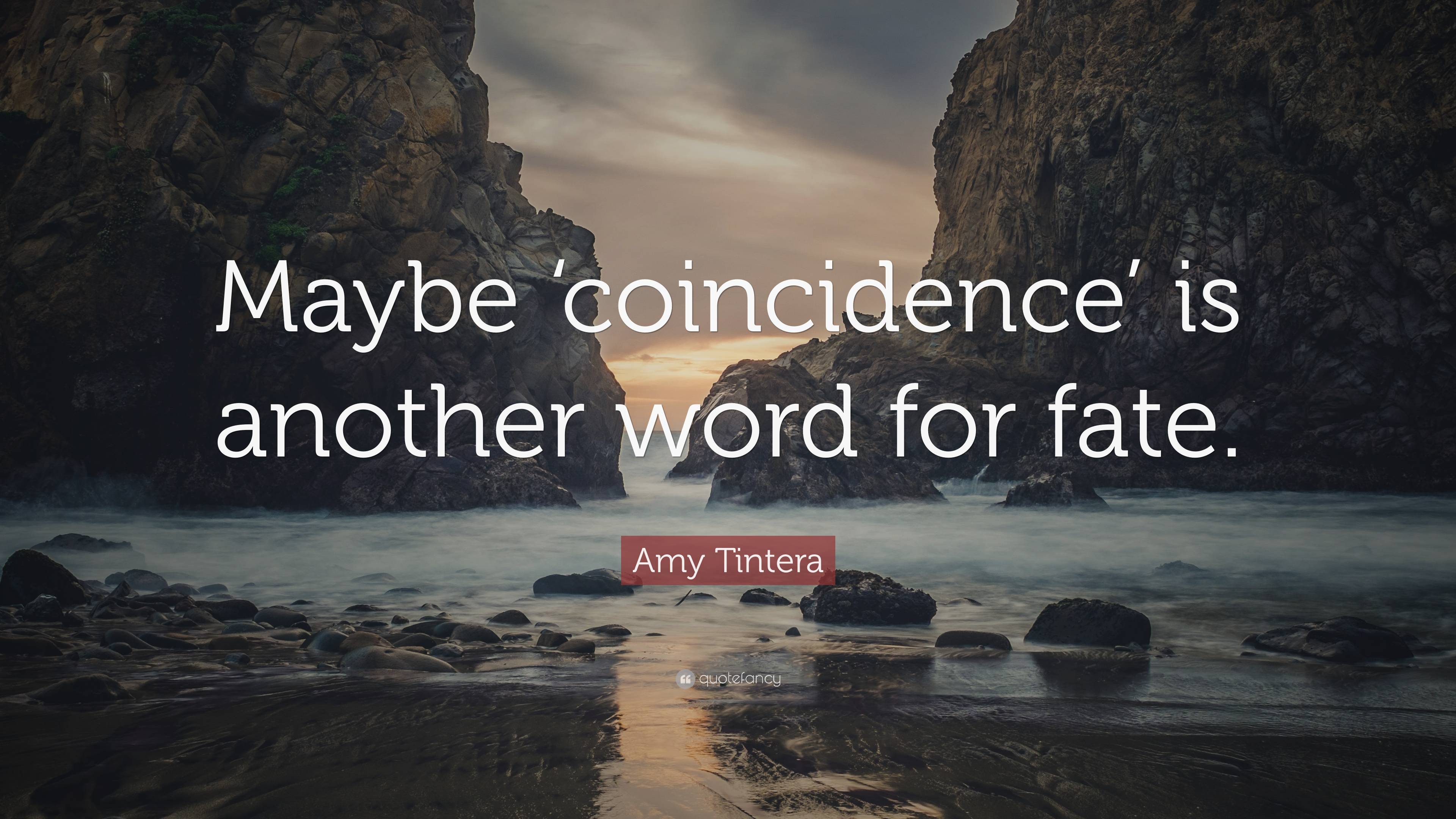 amy-tintera-quote-maybe-coincidence-is-another-word-for-fate