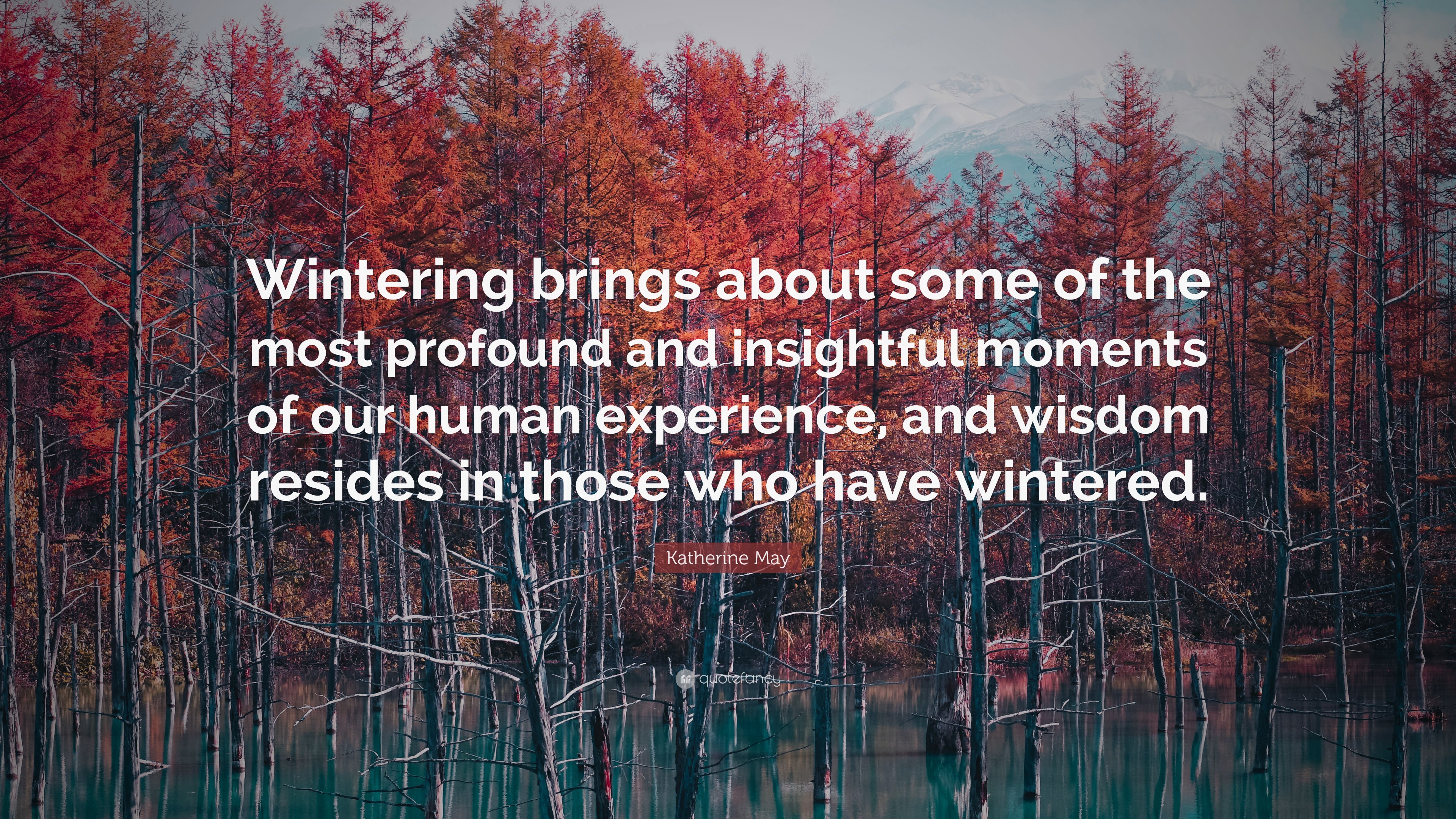 Katherine May Quote “Wintering brings about some of the most profound