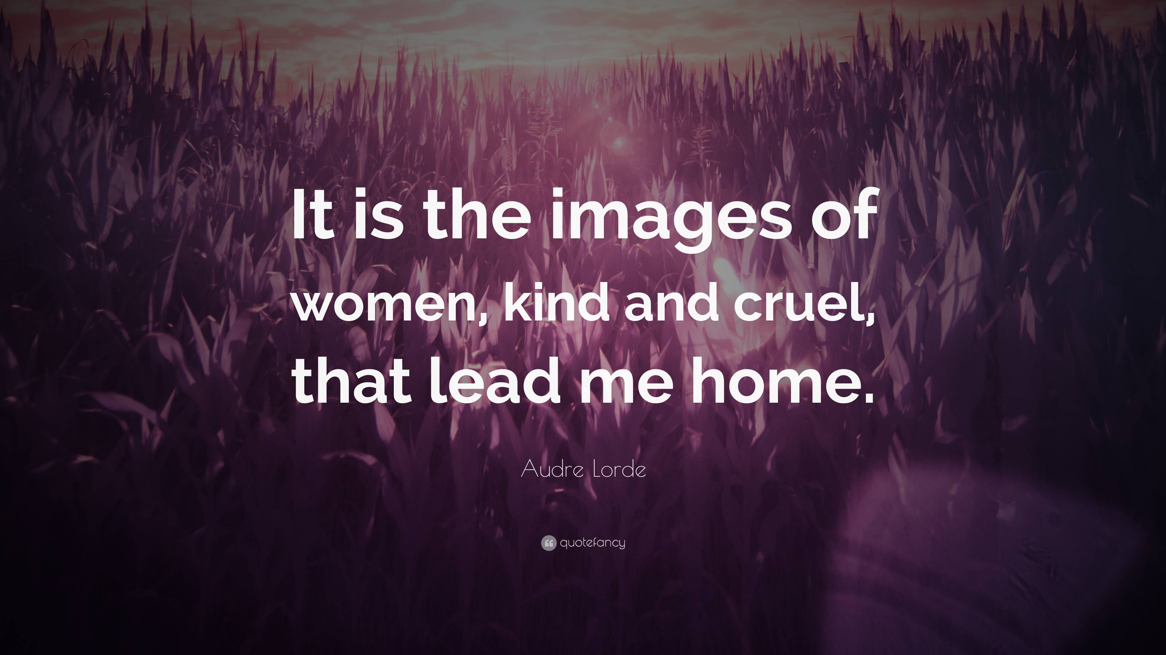 HOME  Kind To Women