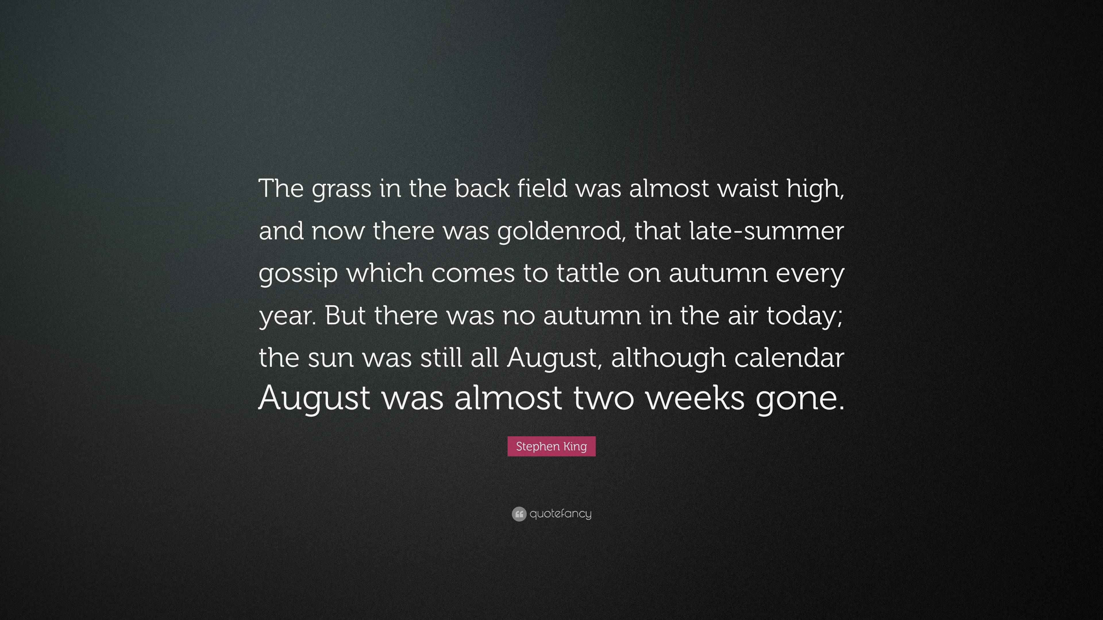 Stephen King Quote “The grass in the back field was almost waist high