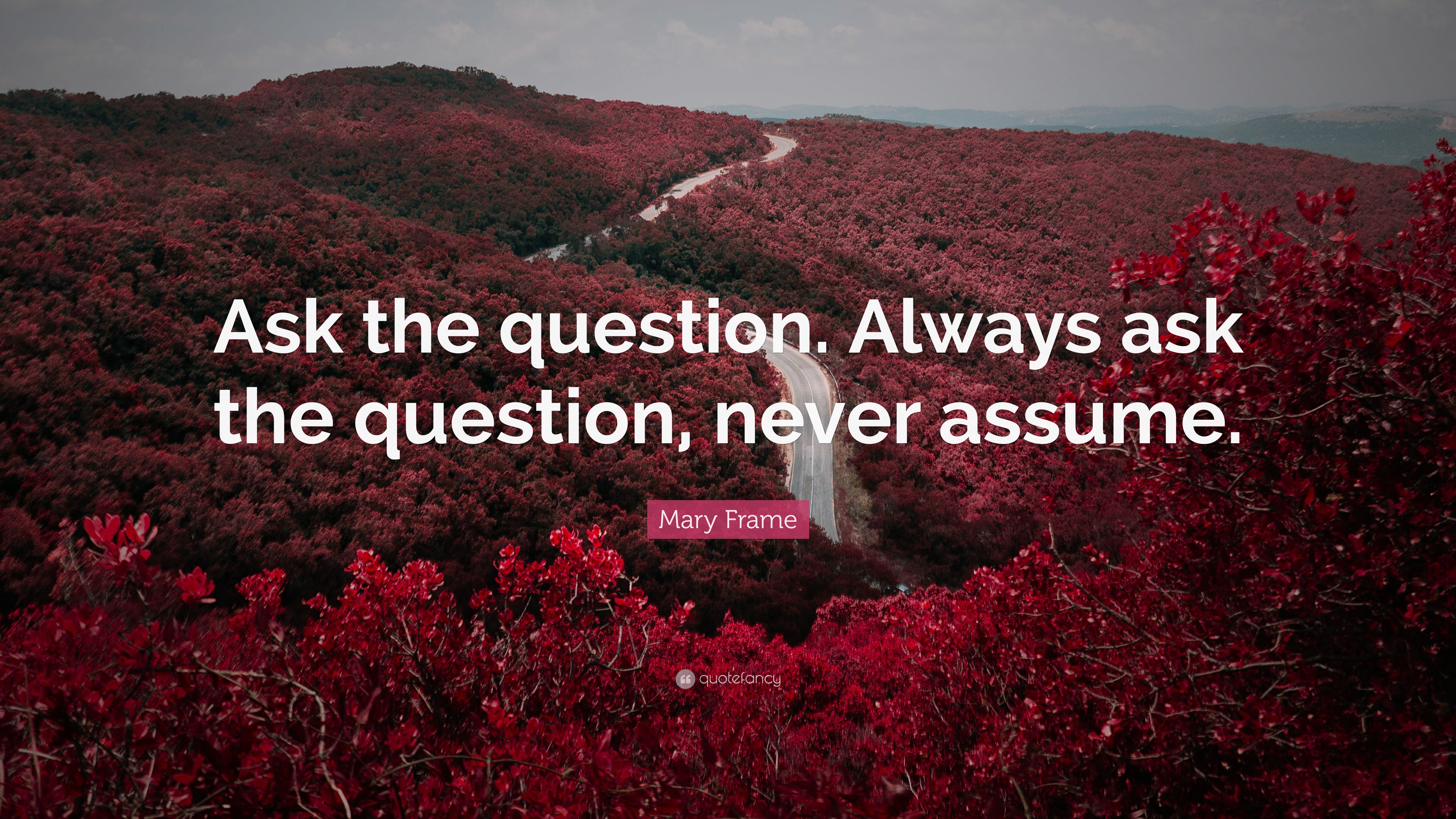 Mary Frame Quote: “Ask the question. Always ask the question, never ...