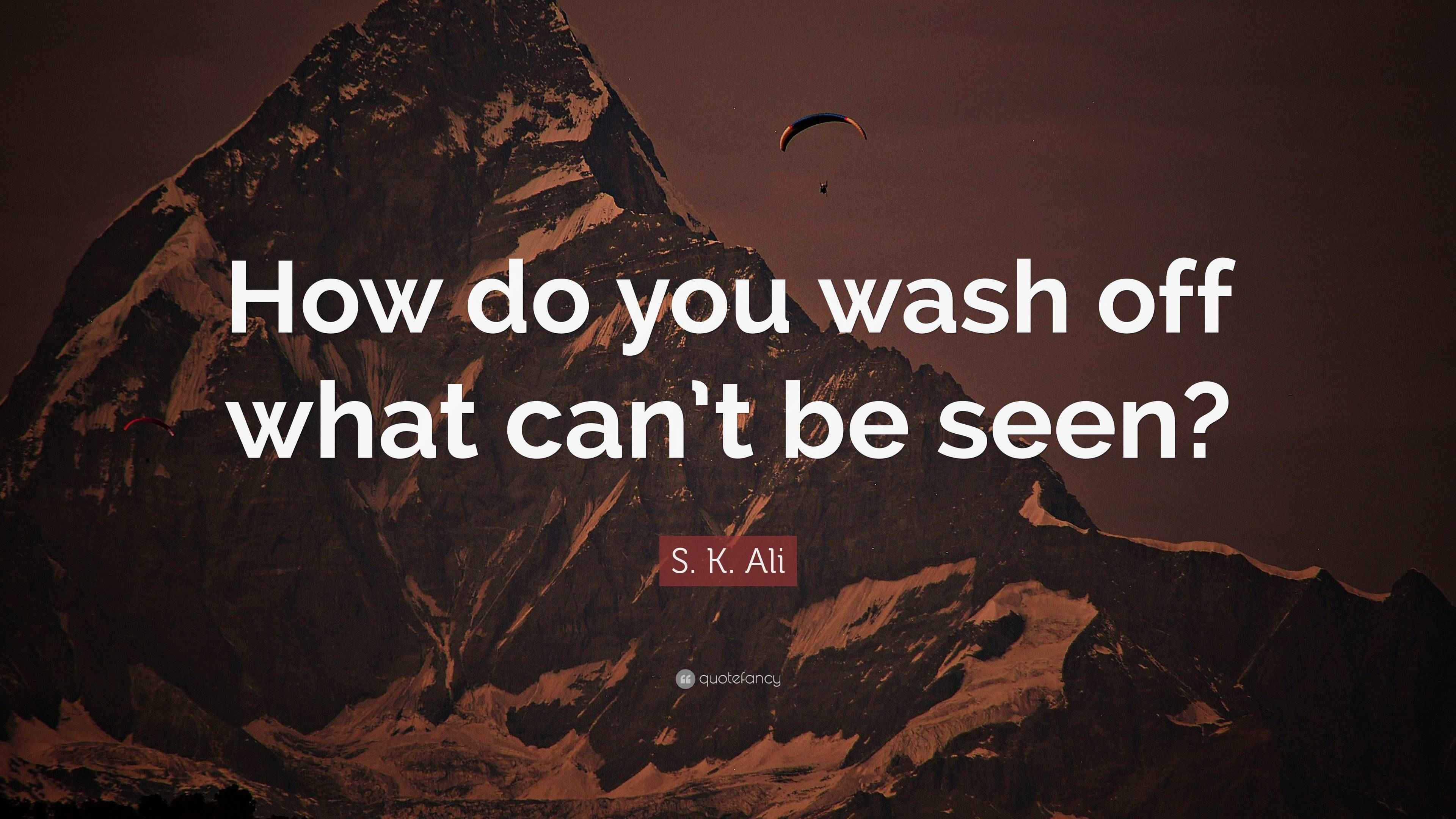 S. K. Ali Quote “How do you wash off what can’t be seen?”