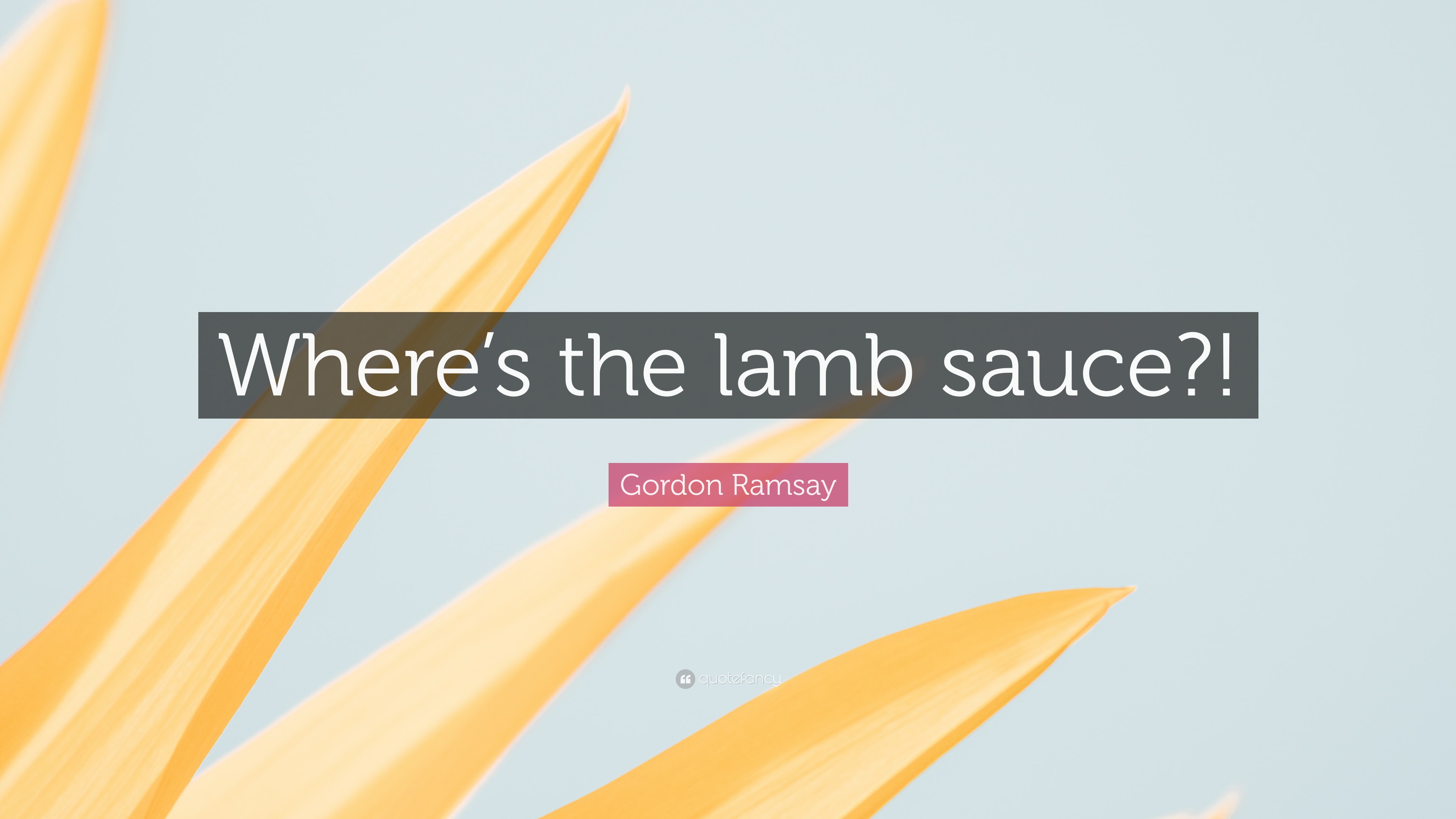Gordon Ramsay Quote “Where’s the lamb sauce?!”