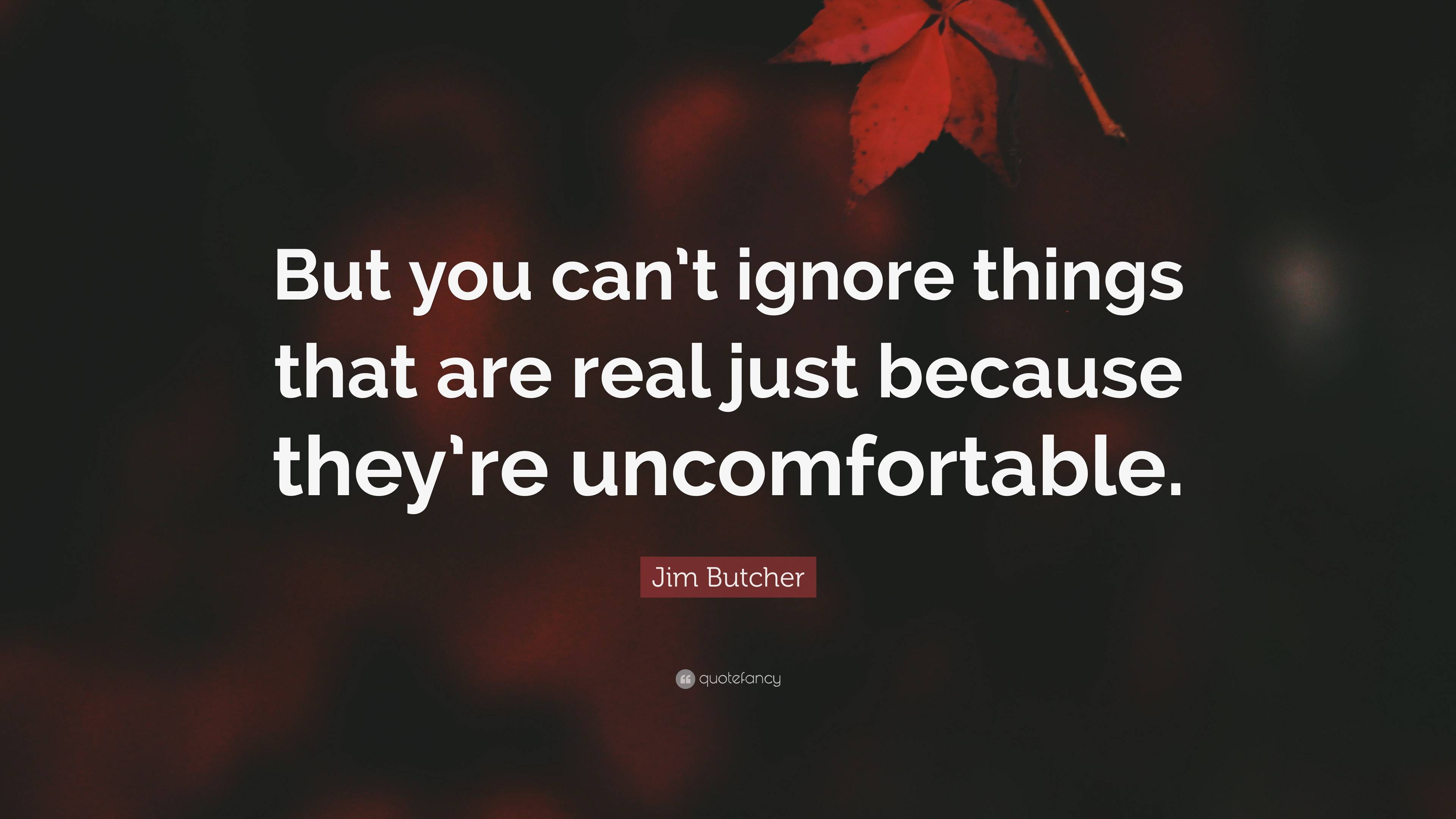 Jim Butcher Quote: “But you can’t ignore things that are real just ...