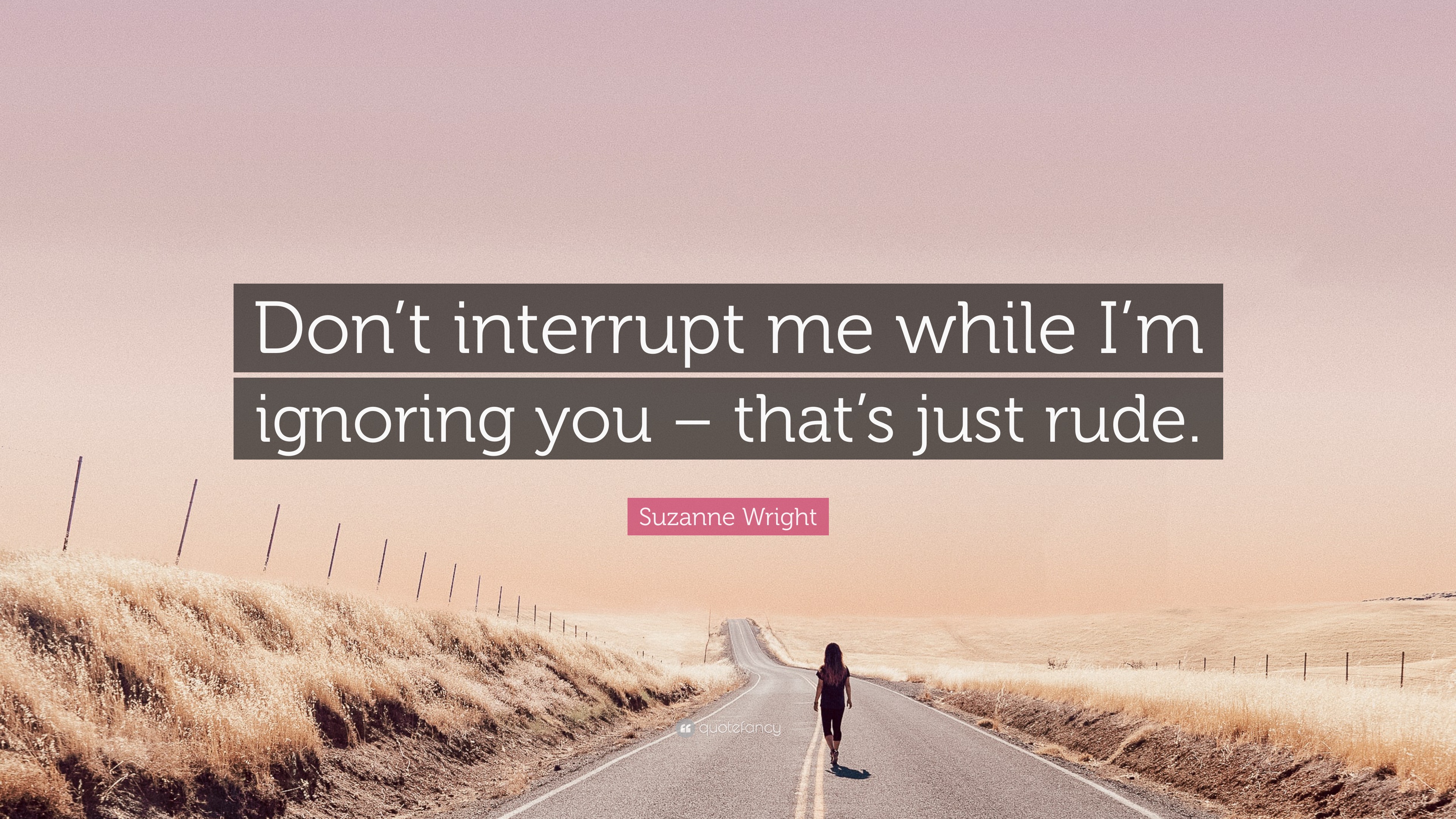 Suzanne Wright Quote: “Don’t interrupt me while I’m ignoring you – that ...
