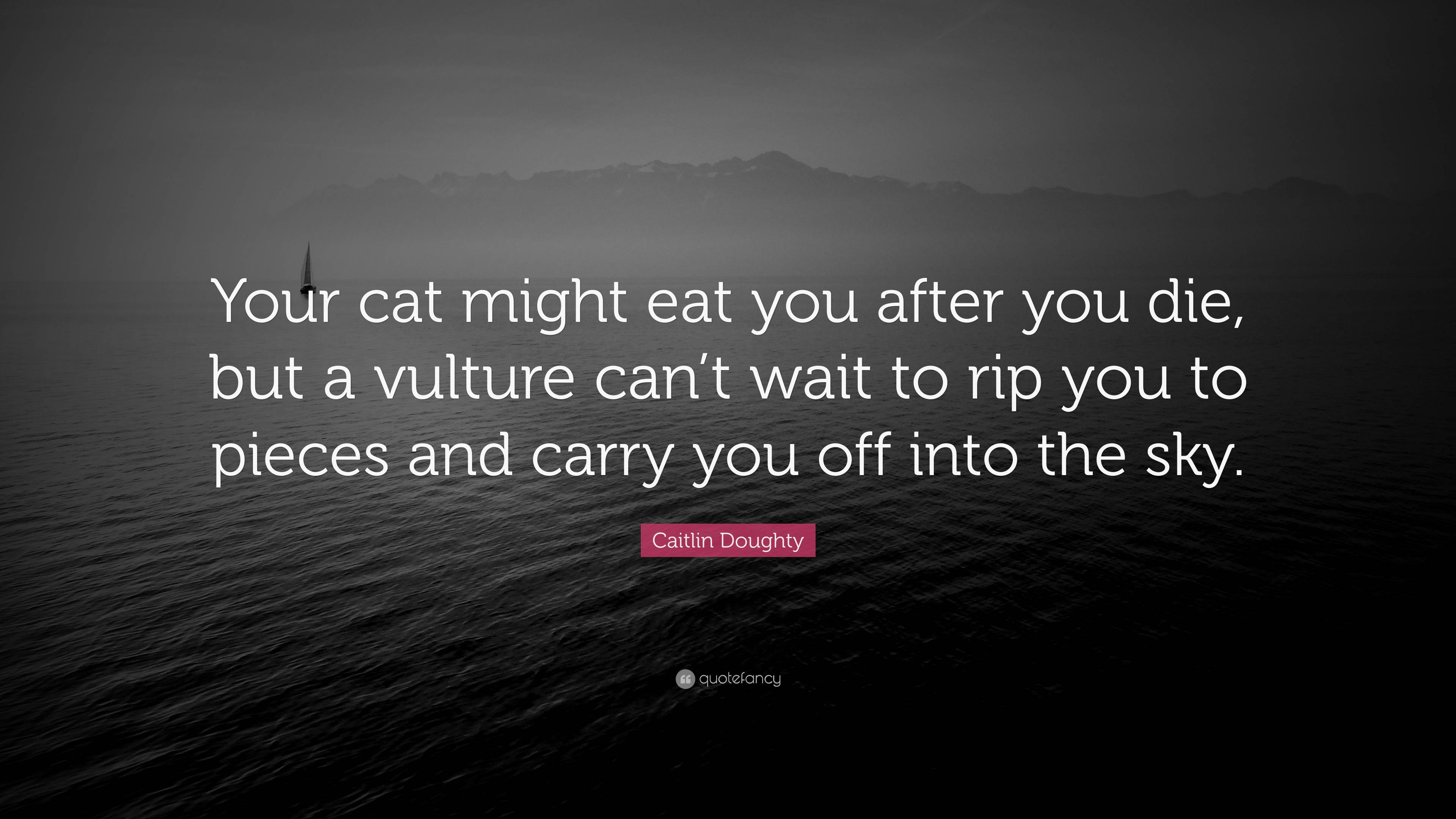 Caitlin Doughty Quote “Your cat might eat you after you die, but a