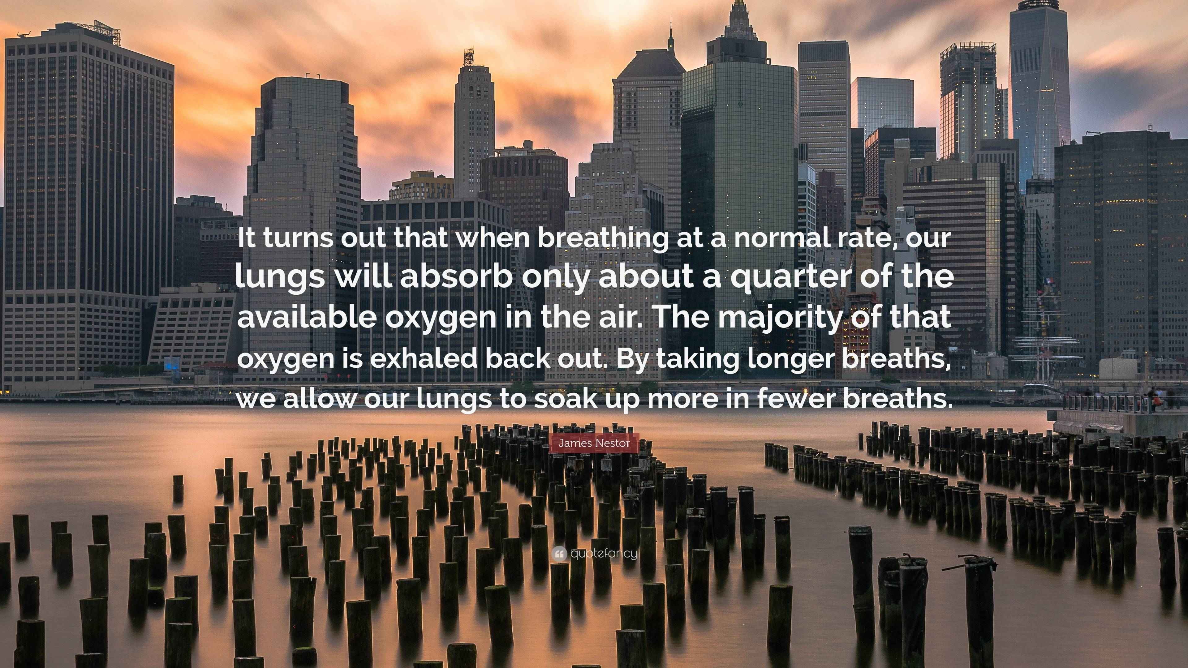 James Nestor Quote “It turns out that when breathing at a normal rate