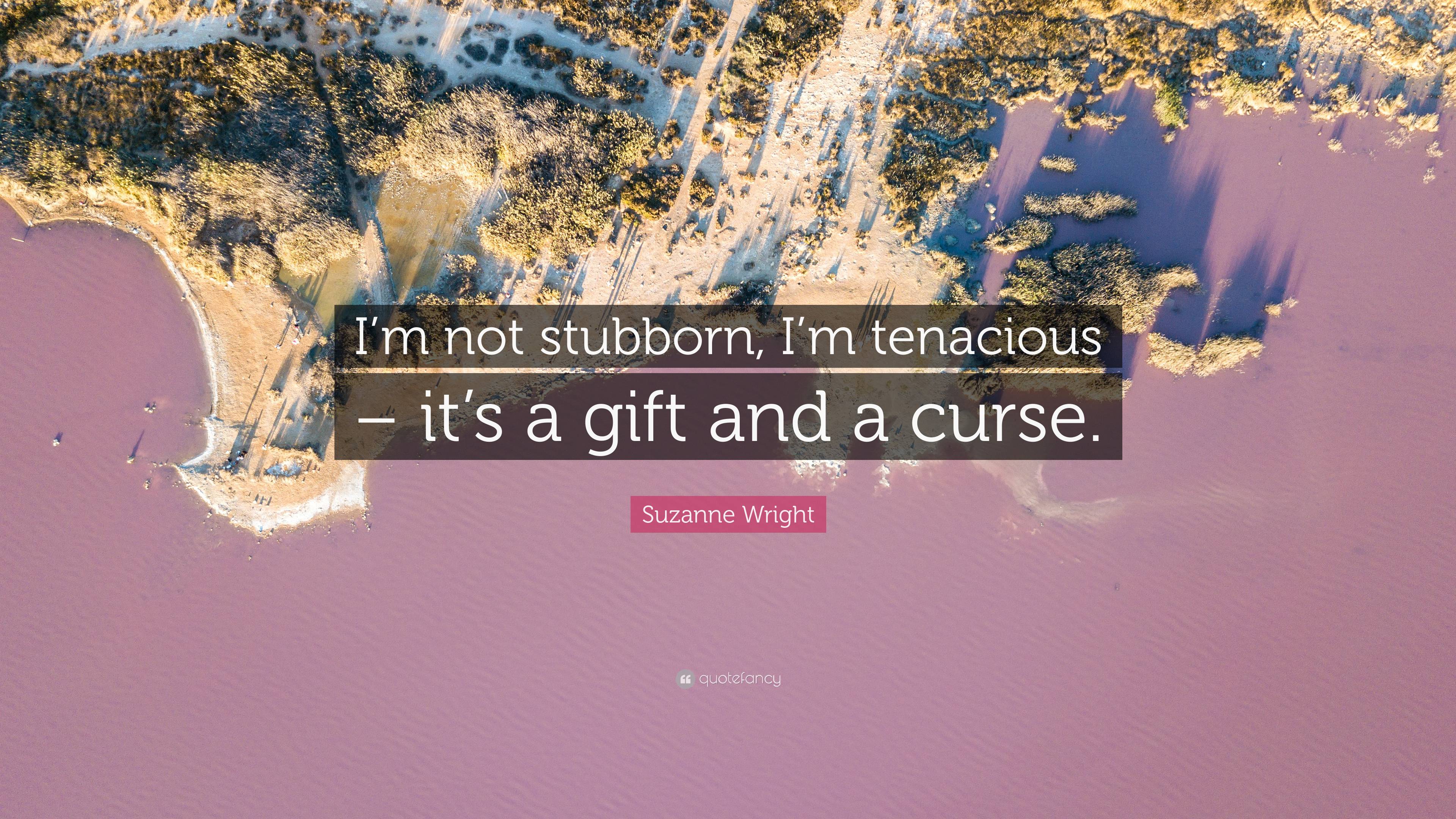 Suzanne Wright Quote “im Not Stubborn Im Tenacious – Its A T