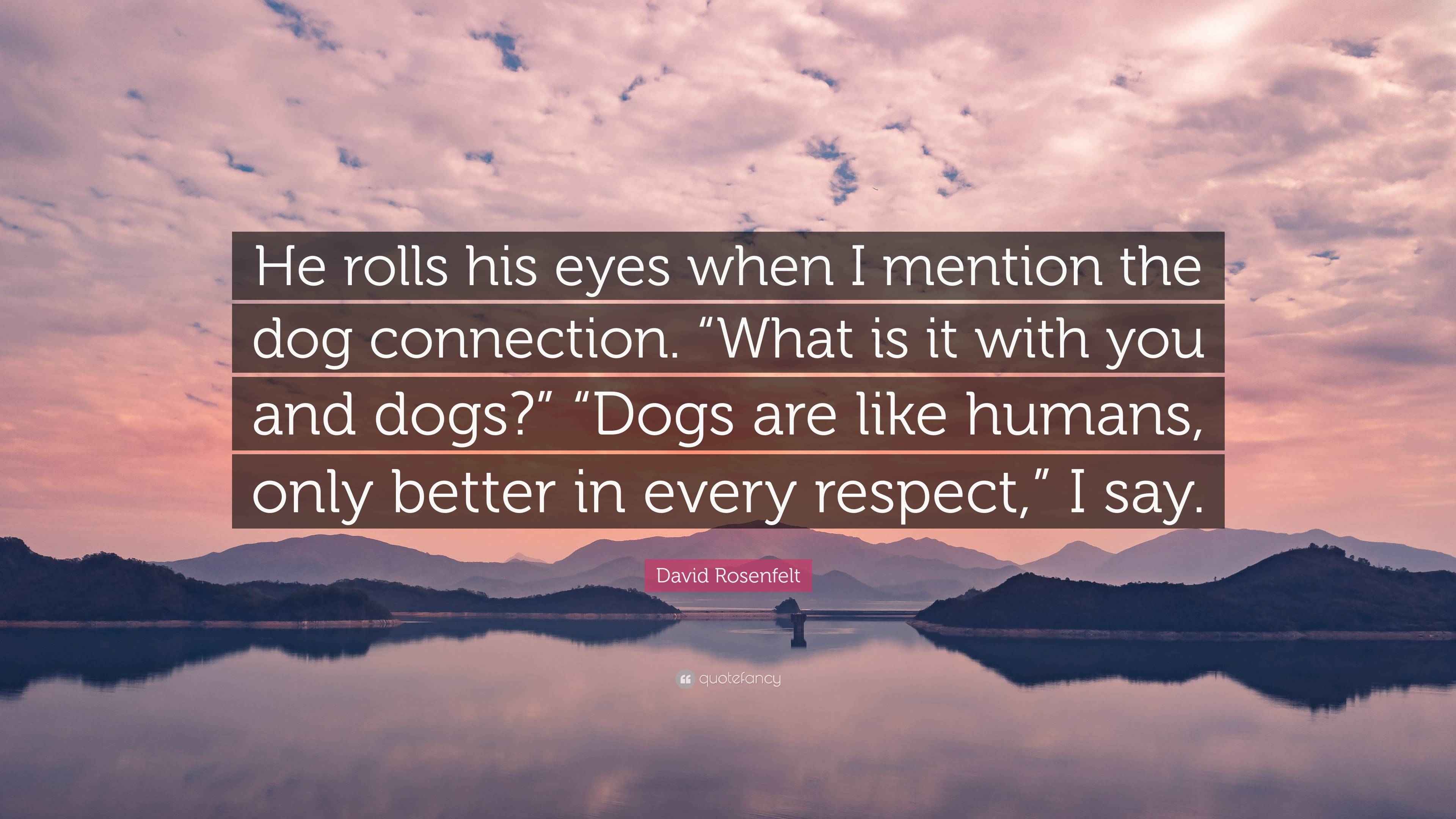 David Rosenfelt Quote “He rolls his eyes when I mention the dog