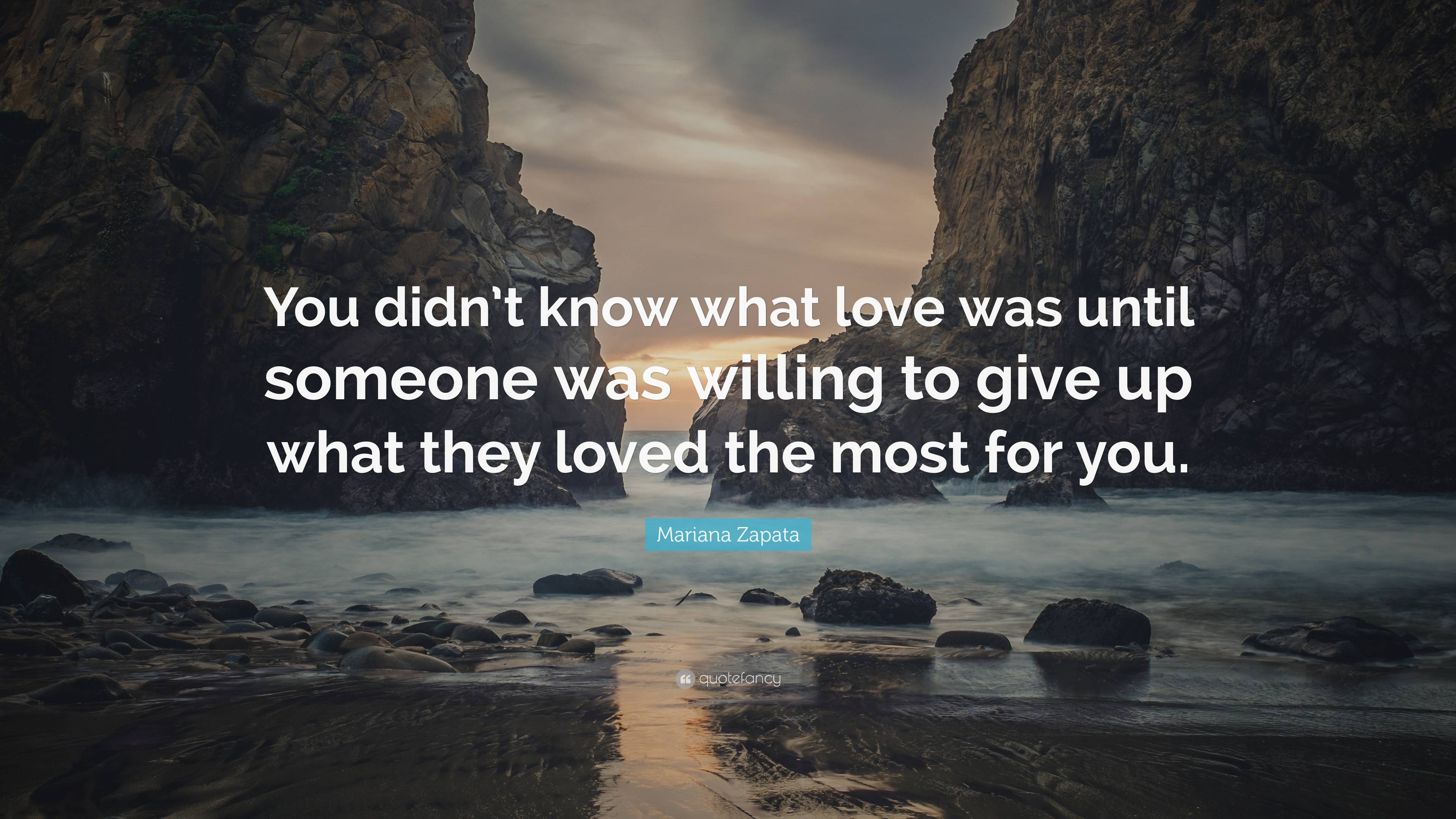 Mariana Zapata Quote: “You didn’t know what love was until someone was ...