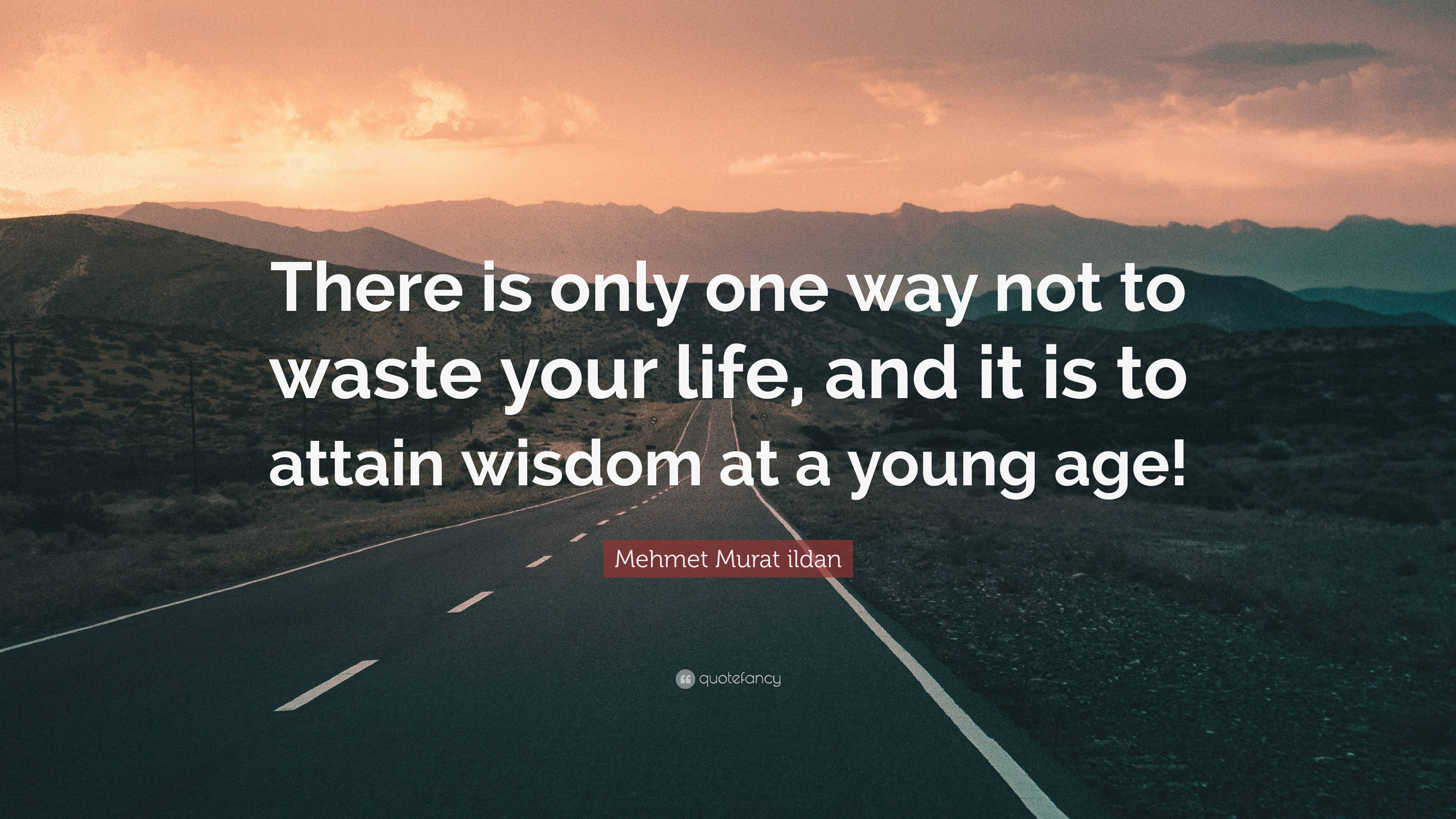 Mehmet Murat ildan Quote: “There is only one way not to waste your life ...