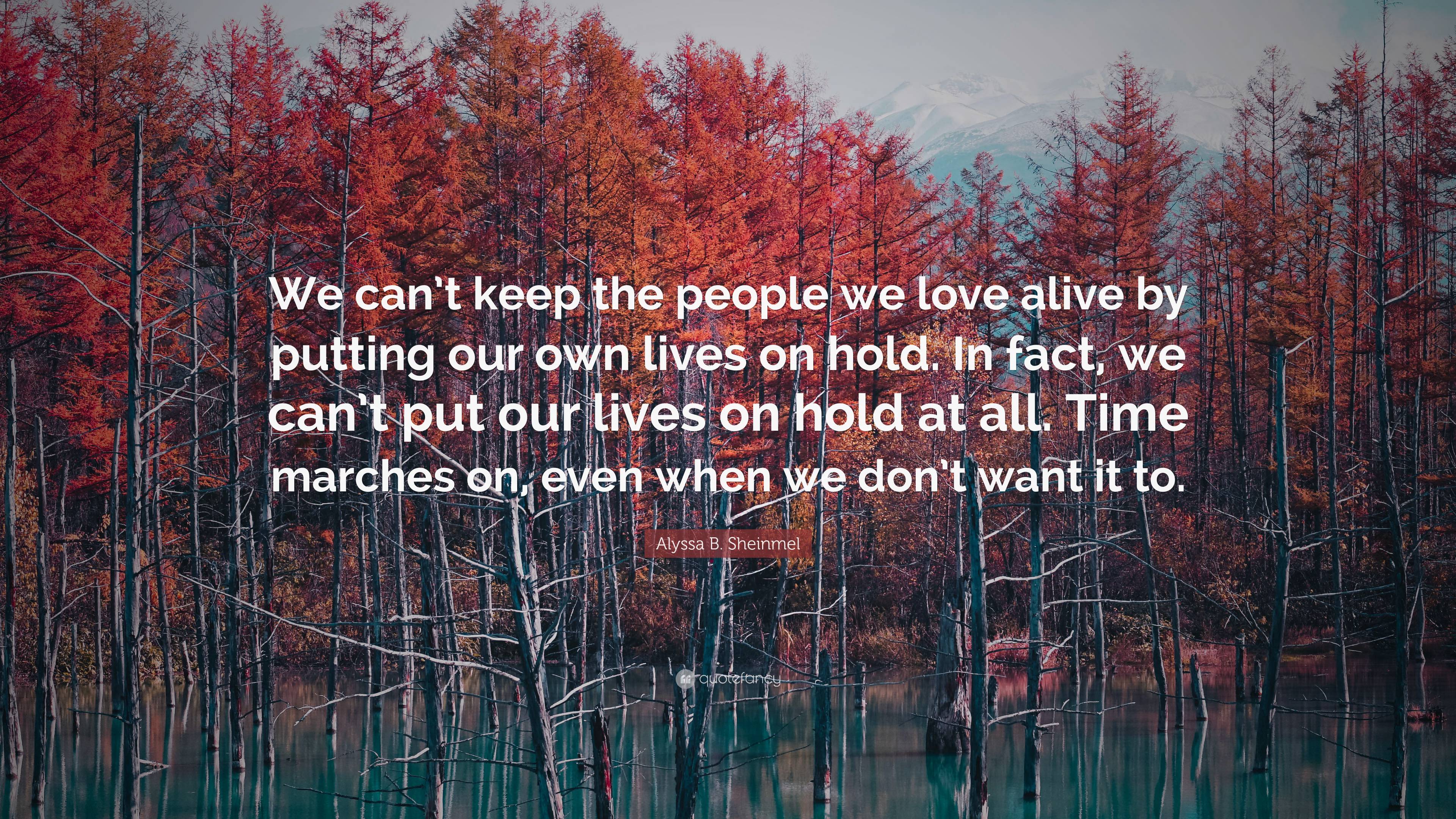 Alyssa B. Sheinmel Quote: “We can’t keep the people we love alive by ...