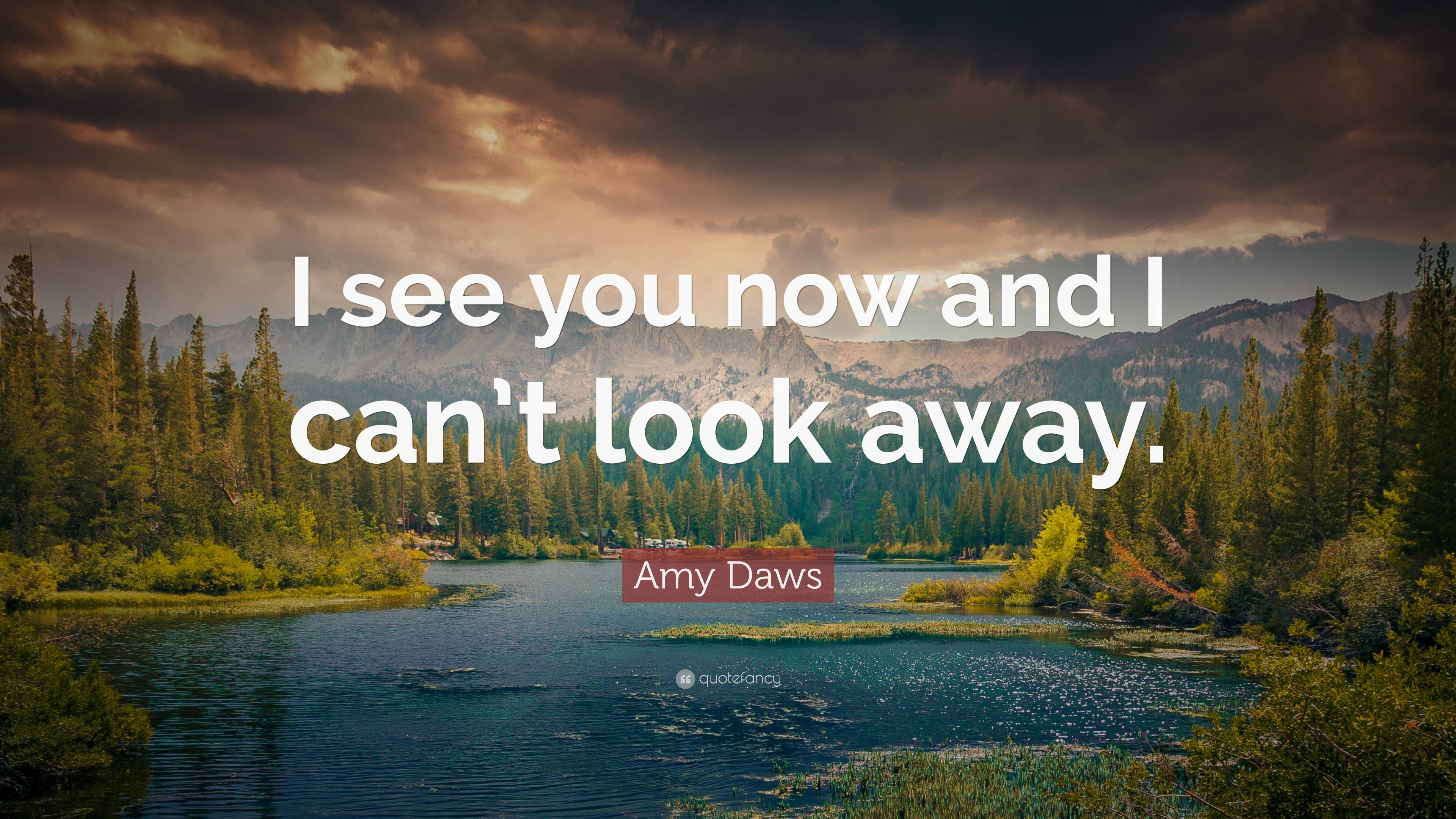 Amy Daws Quote “i See You Now And I Cant Look Away”