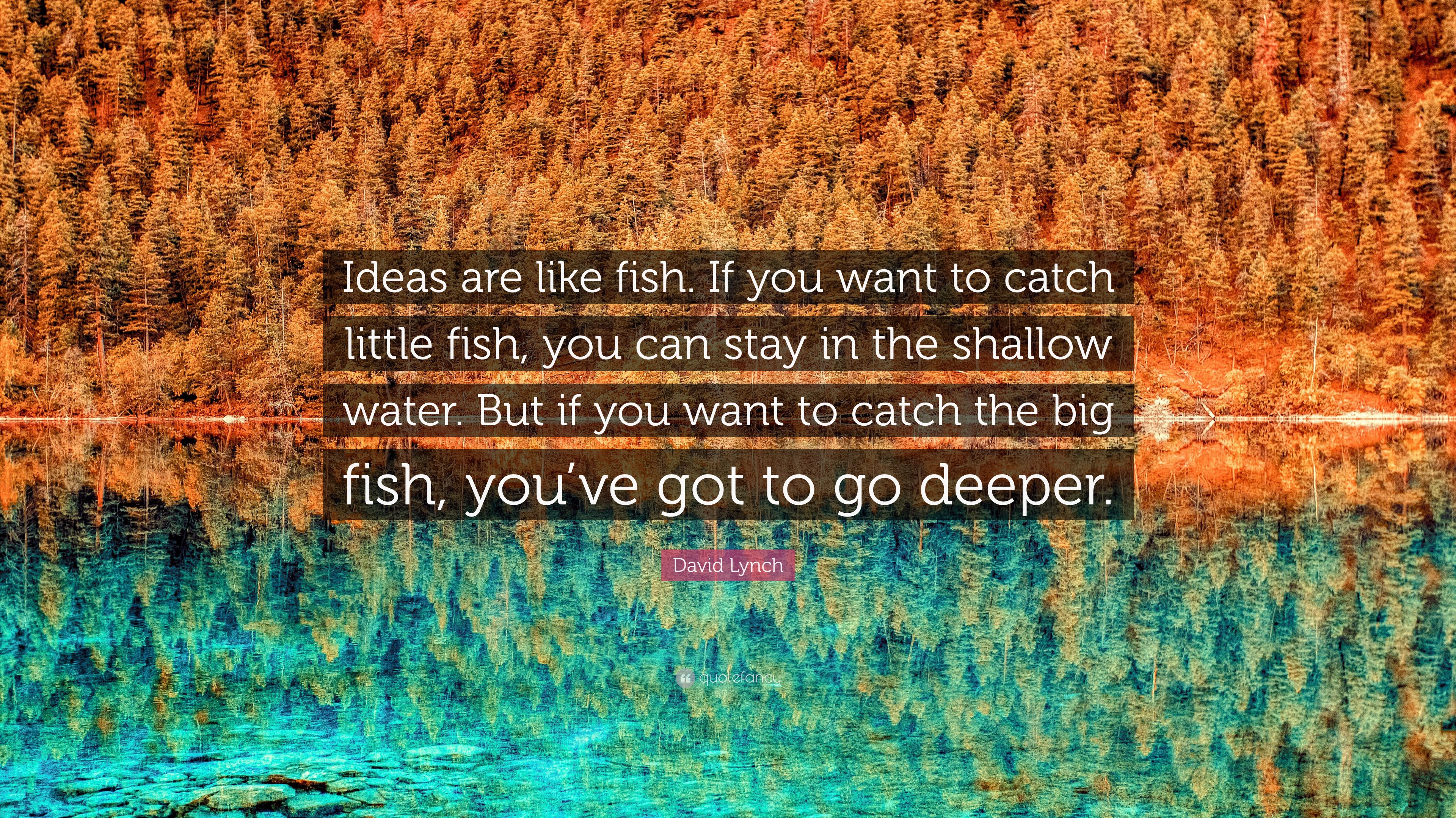 David Lynch Quote: “Ideas are like fish. If you want to catch little fish,  you can stay in the shallow water. But if you want to catch the b”