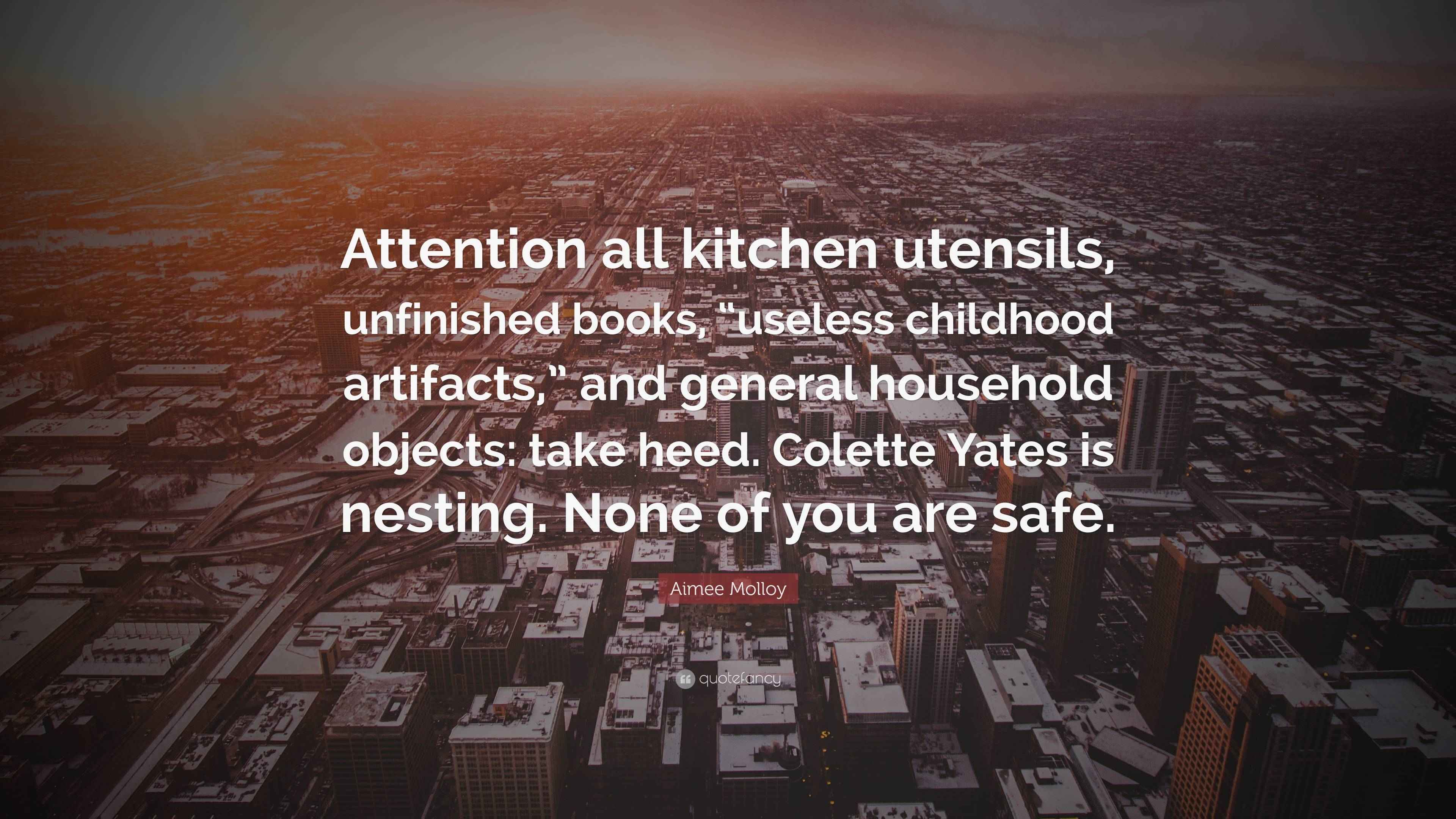 Aimee Molloy Quote “Attention all kitchen utensils, unfinished books