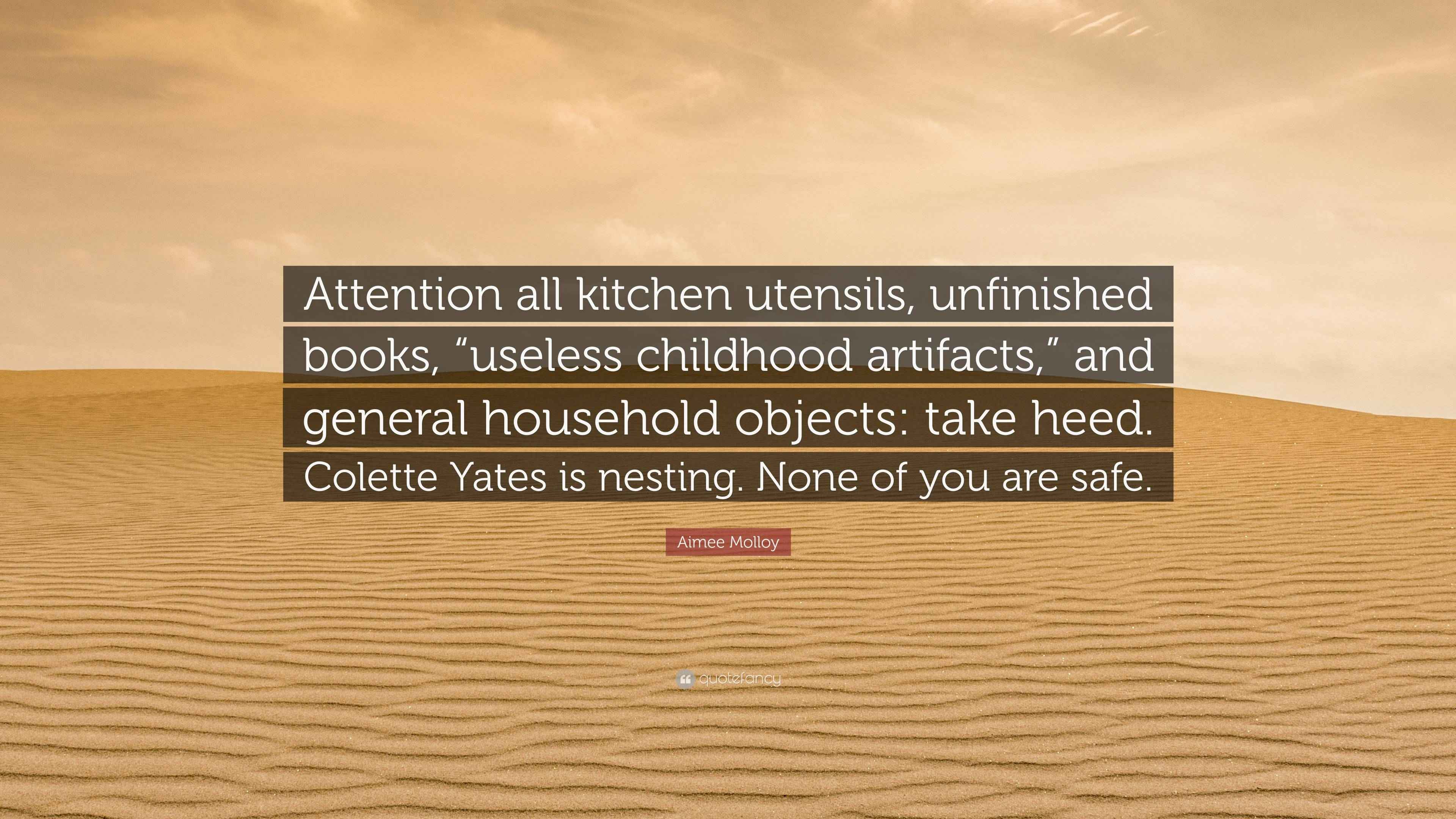 Aimee Molloy Quote “Attention all kitchen utensils, unfinished books