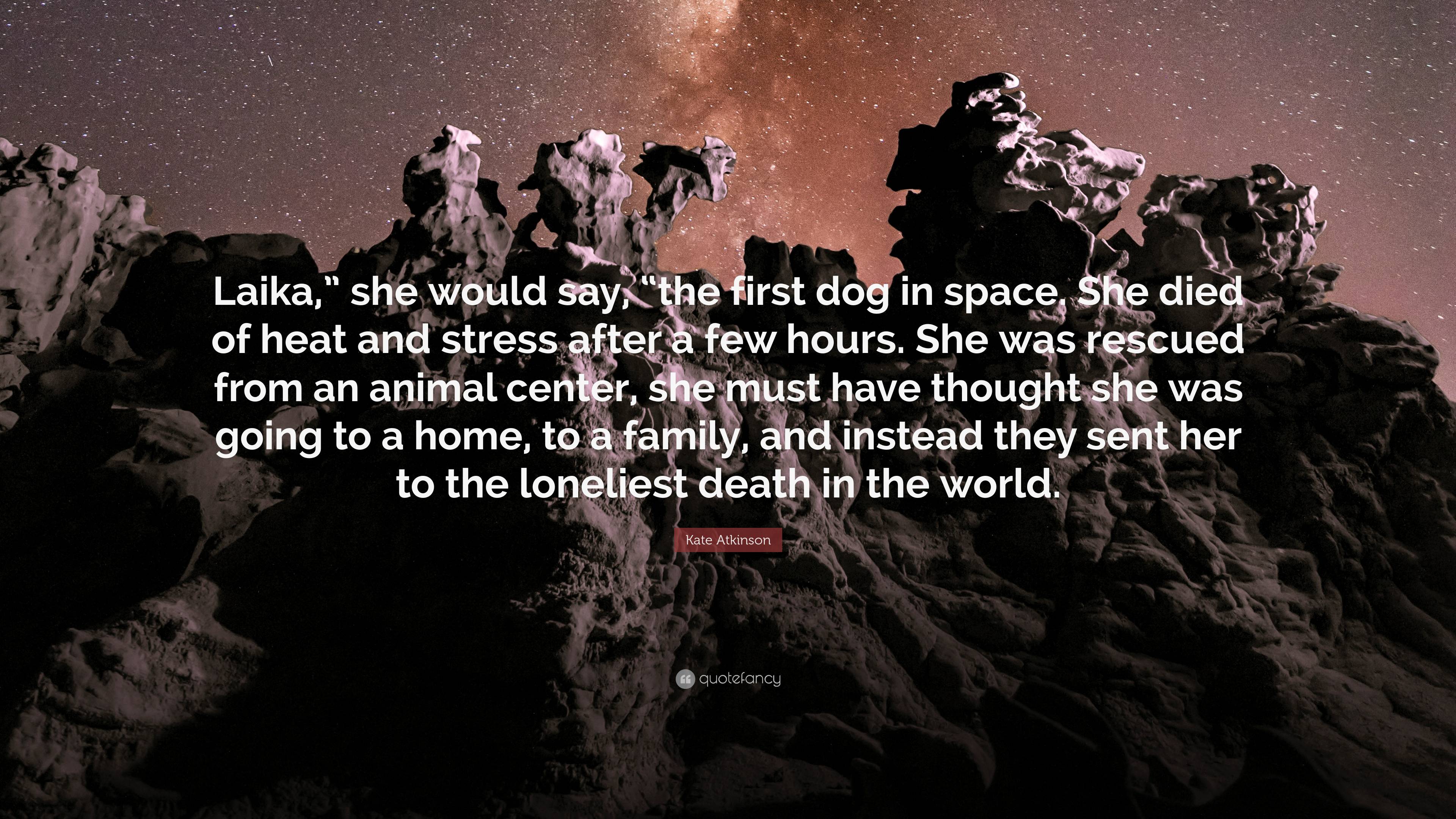 Kate Atkinson Quote: “Laika,” she would say, “the first dog in space. She  died of heat and stress after a few hours. She was rescued from an a...”