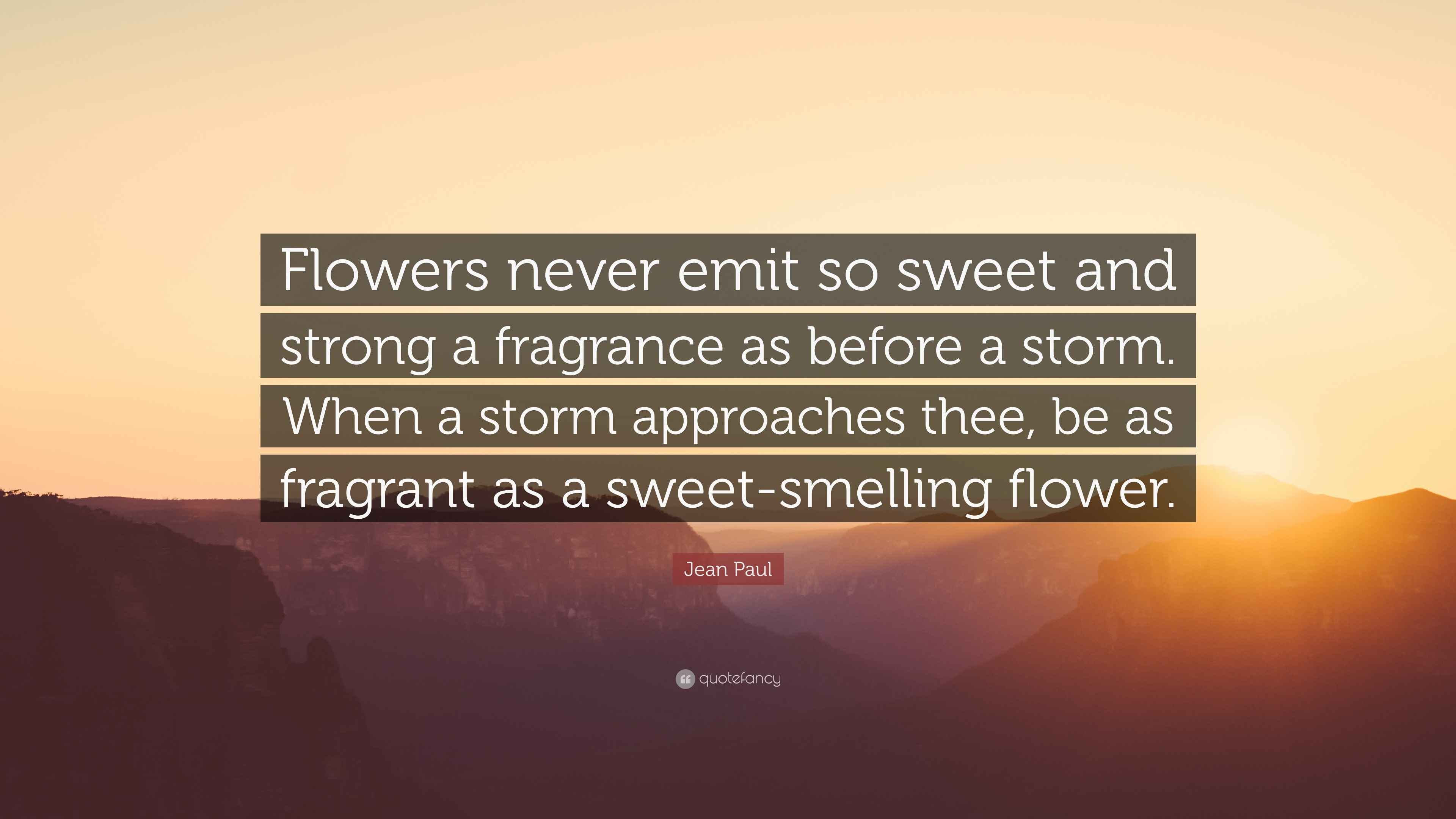 Jean Paul Quote “Flowers never emit so sweet and strong a fragrance as before a storm. When a