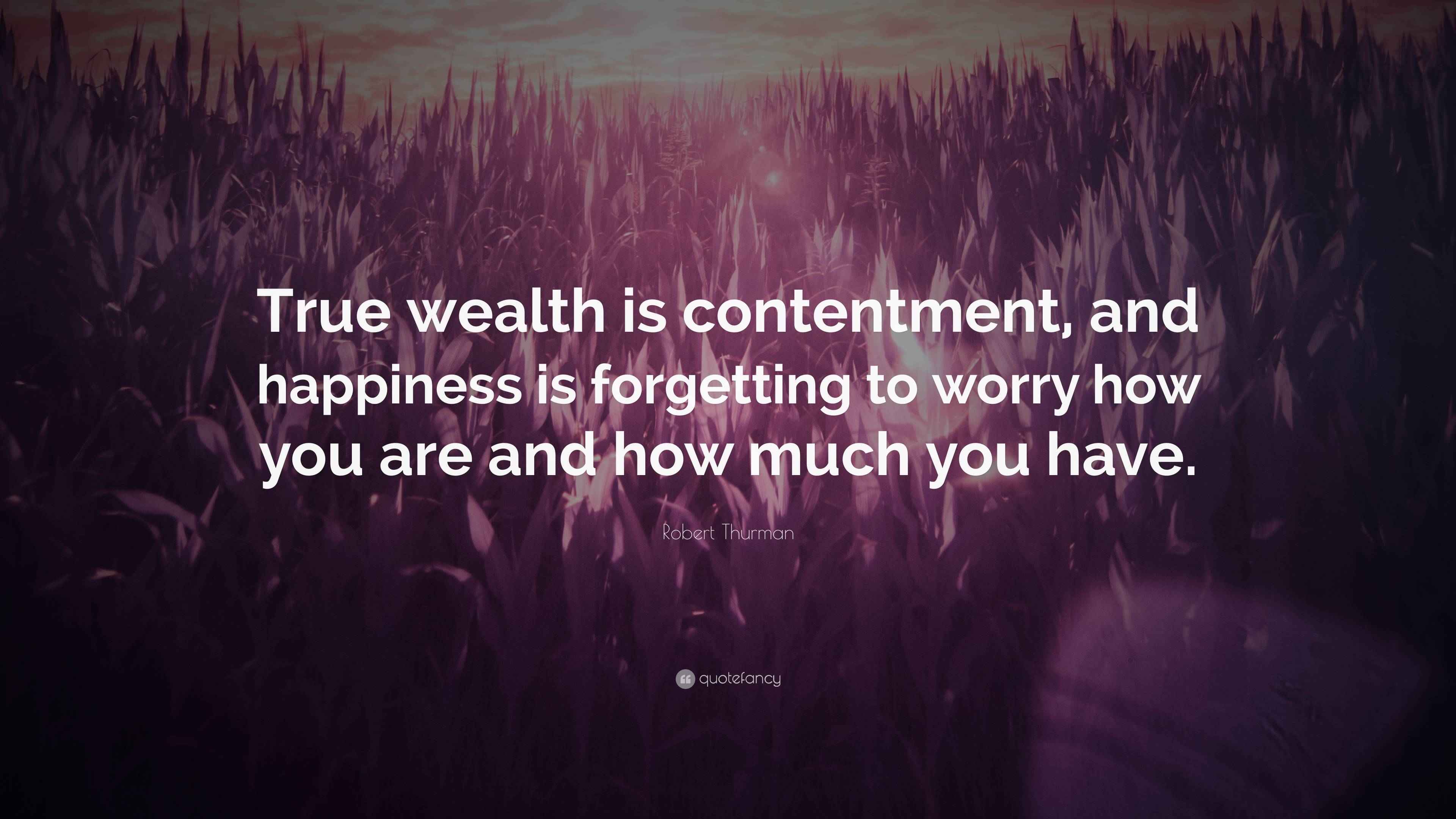 Robert Thurman Quote: “True wealth is contentment, and happiness is ...