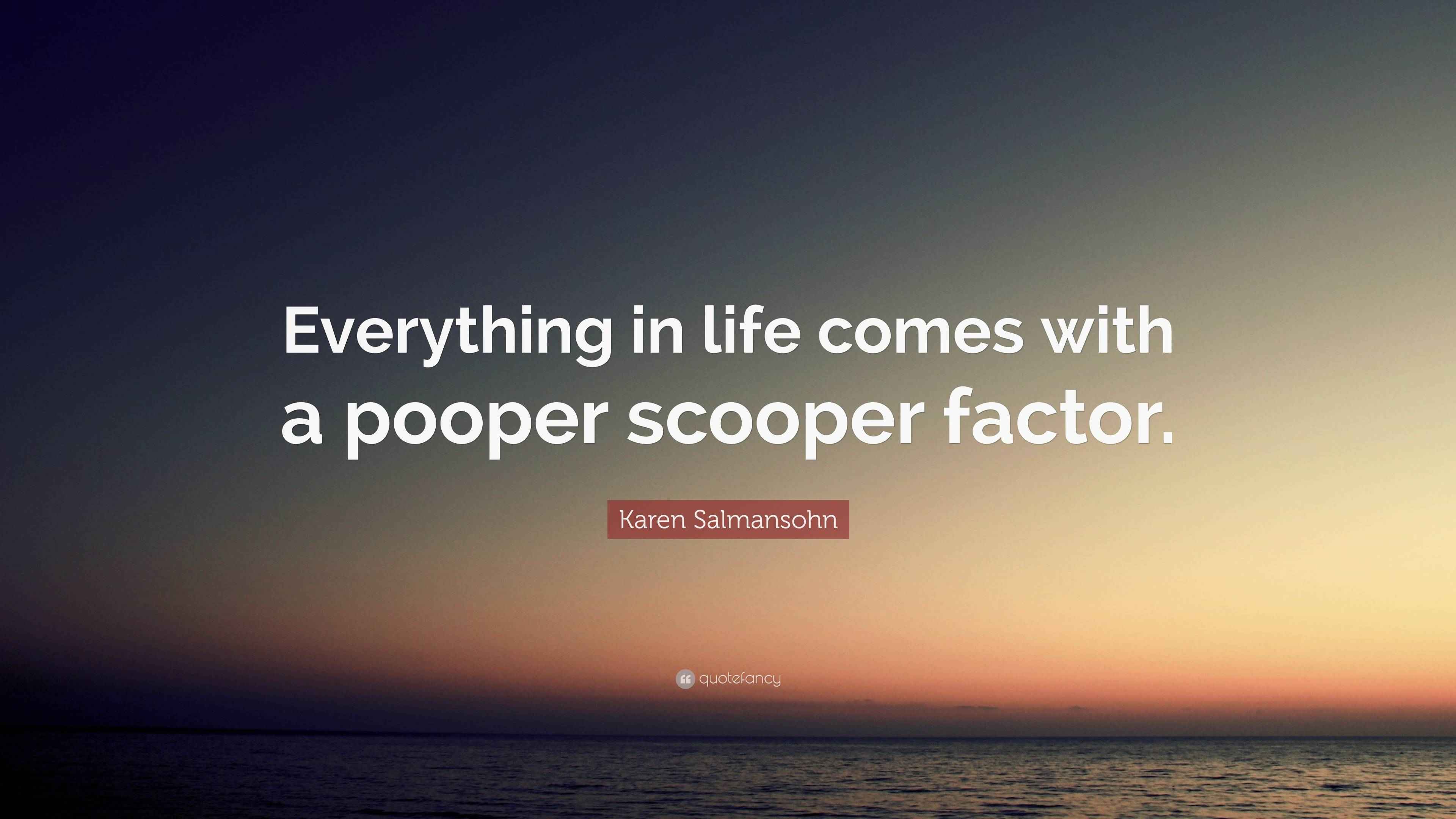 Karen Salmansohn Quote “Everything in life comes with a pooper scooper