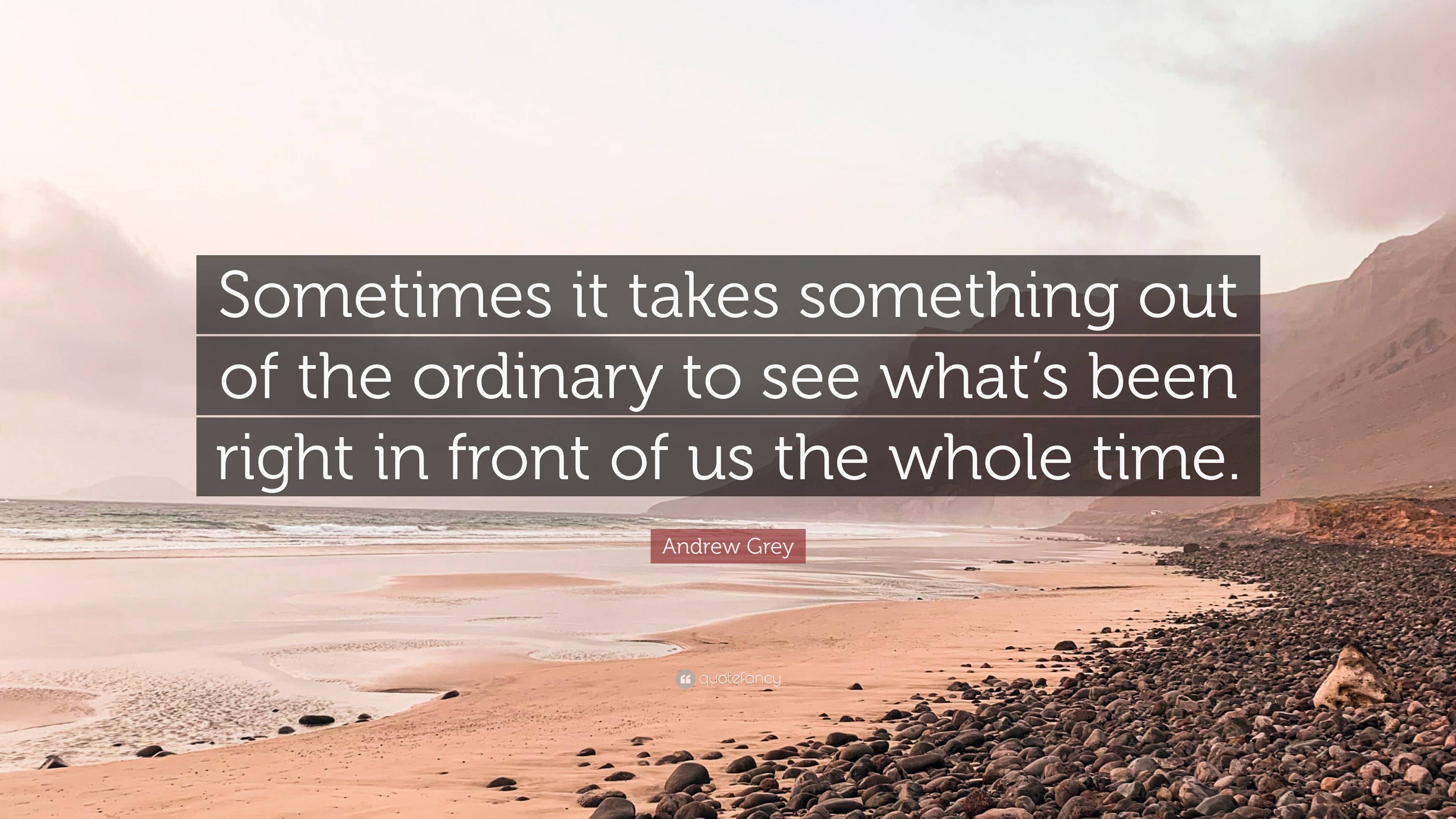 Andrew Grey Quote: “Sometimes it takes something out of the ordinary to ...