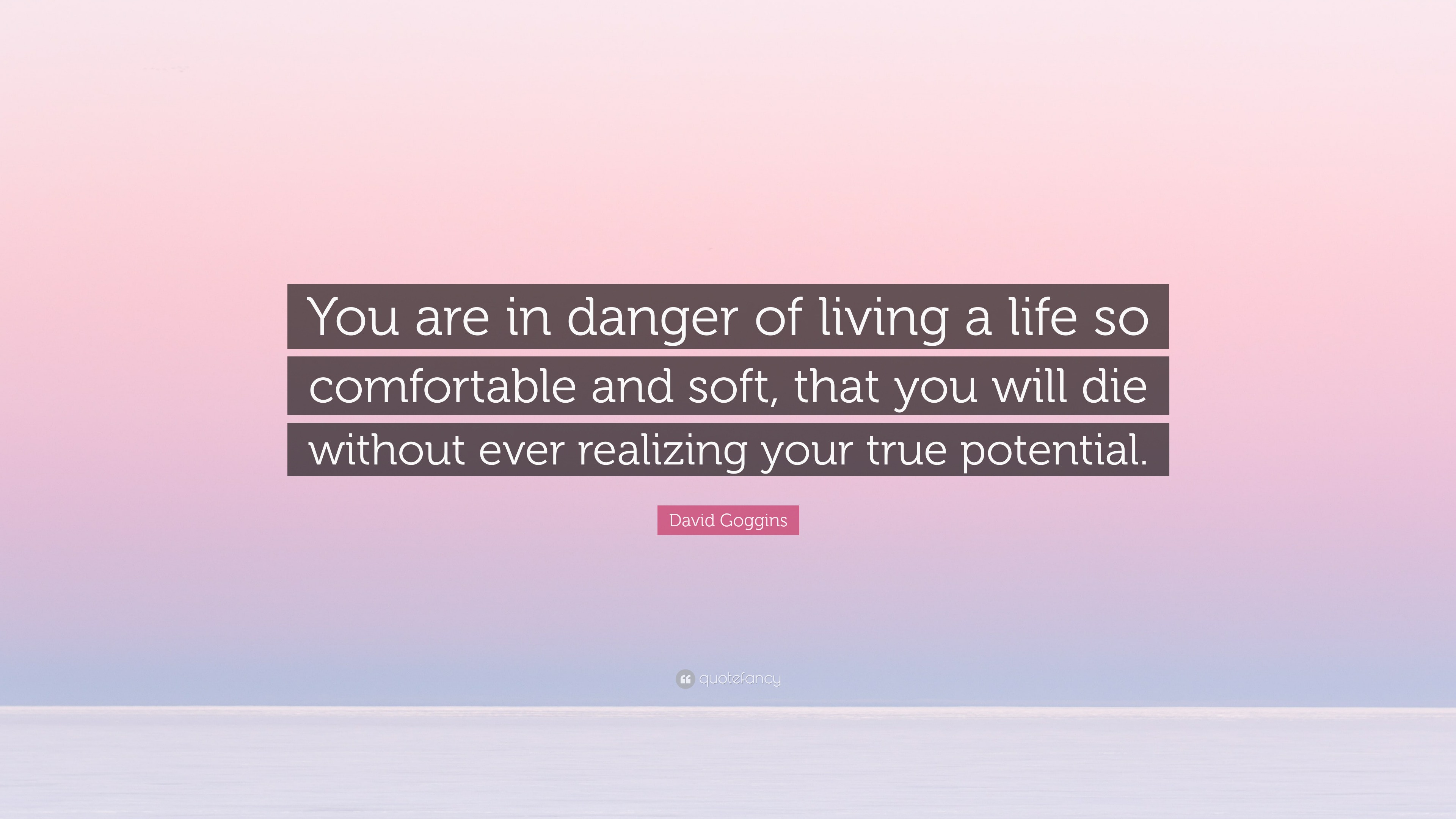 David Goggins Quote You are in danger of living a life so comfortable and  soft that you will die without ever realizing your true potential