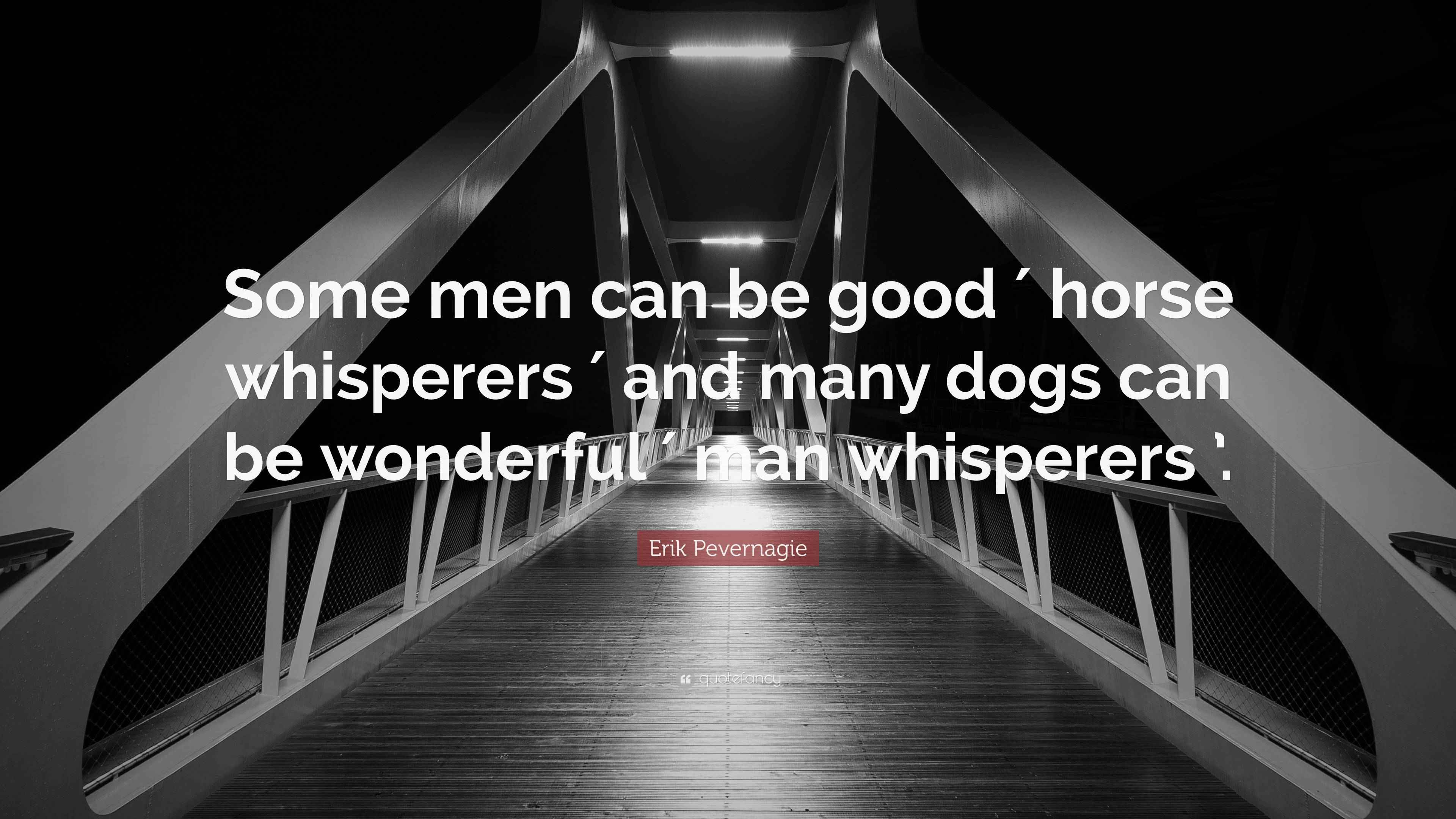 Erik Pevernagie Quote “Some men can be good ′ horse whisperers ′ and