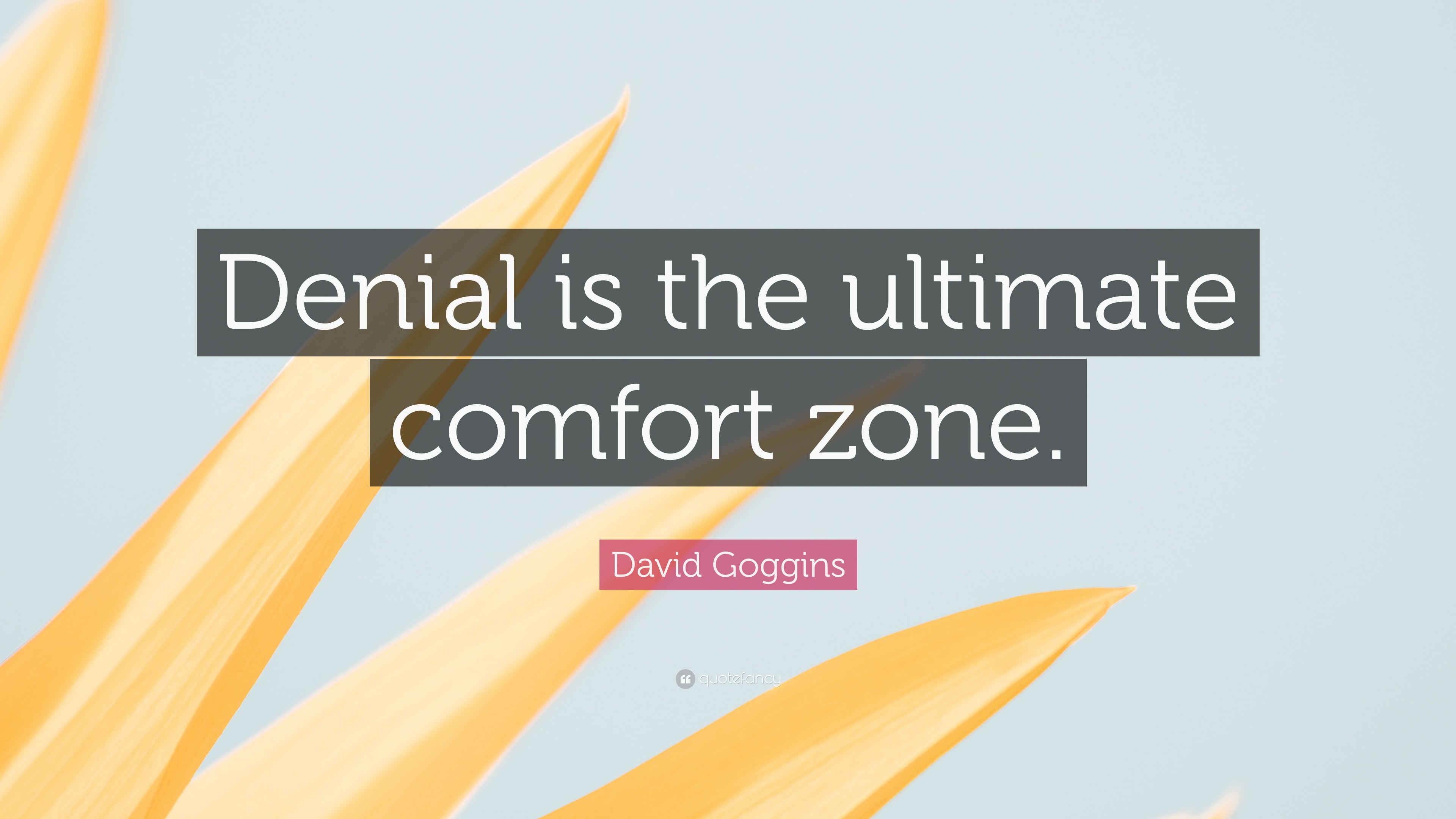 The Wisdom Post on X: Denial is the ultimate comfort zone