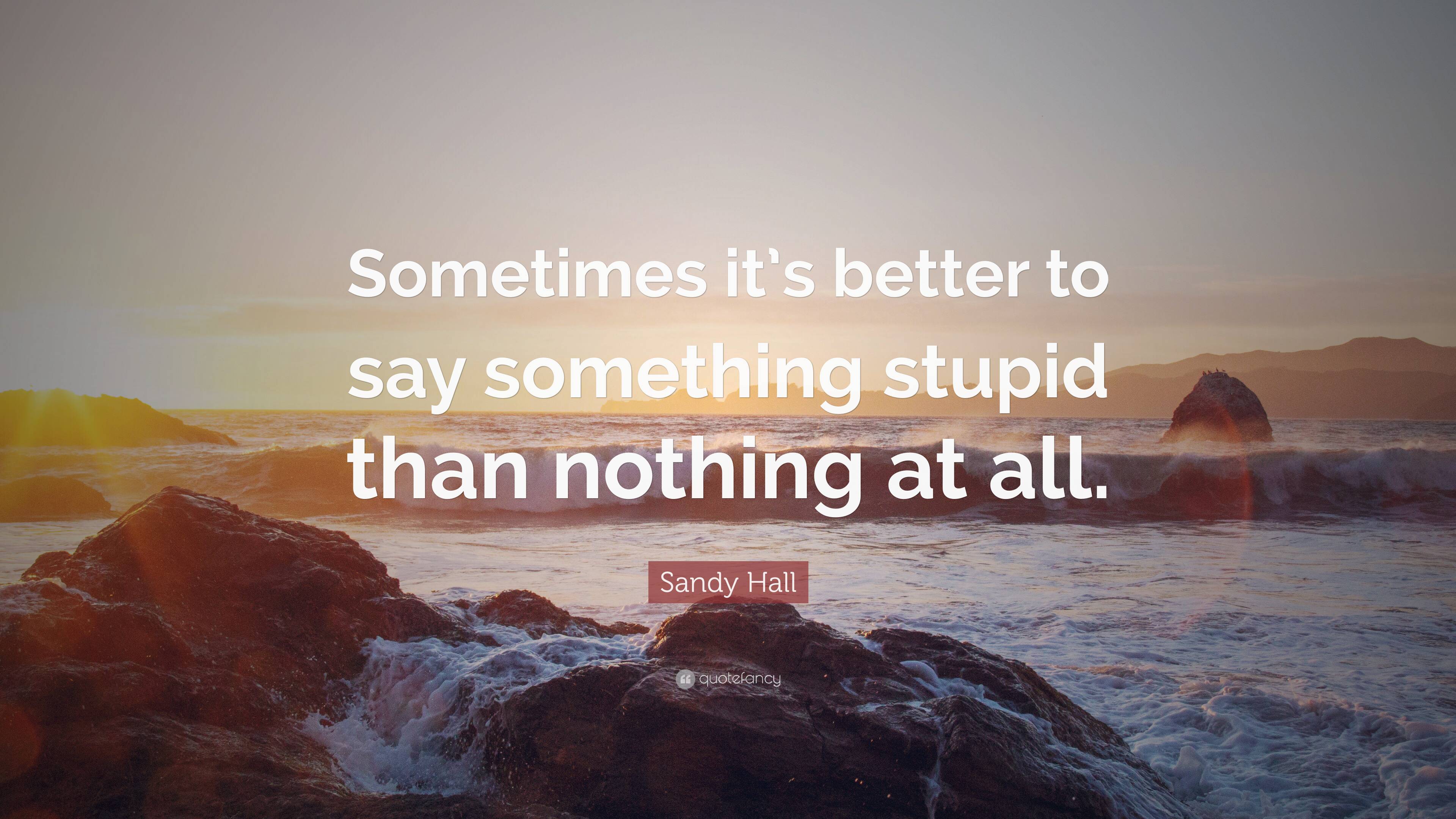 Sandy Hall Quote: “Sometimes it’s better to say something stupid than ...