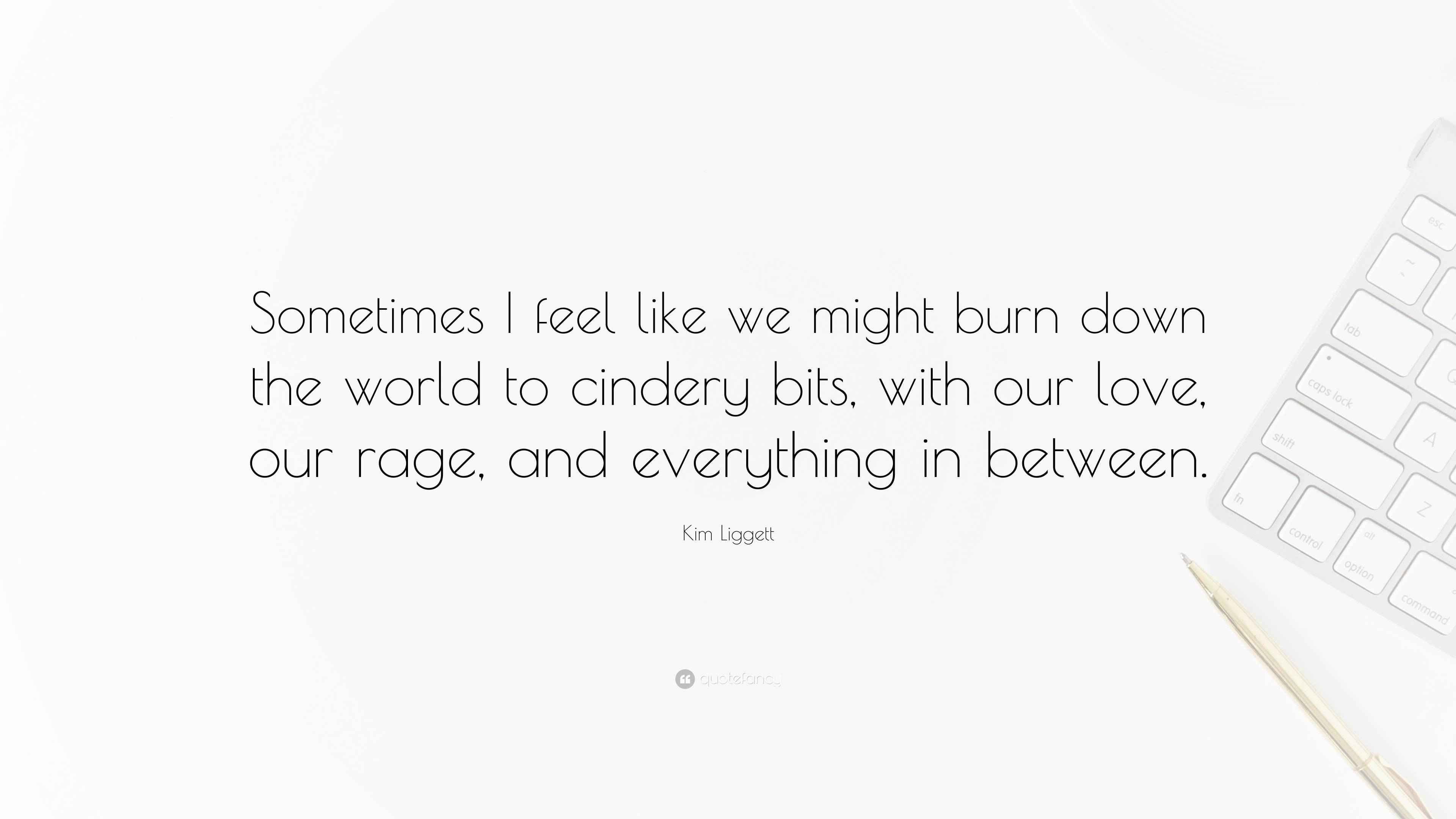 Kim Liggett Quote: “Sometimes I feel like we might burn down the world ...