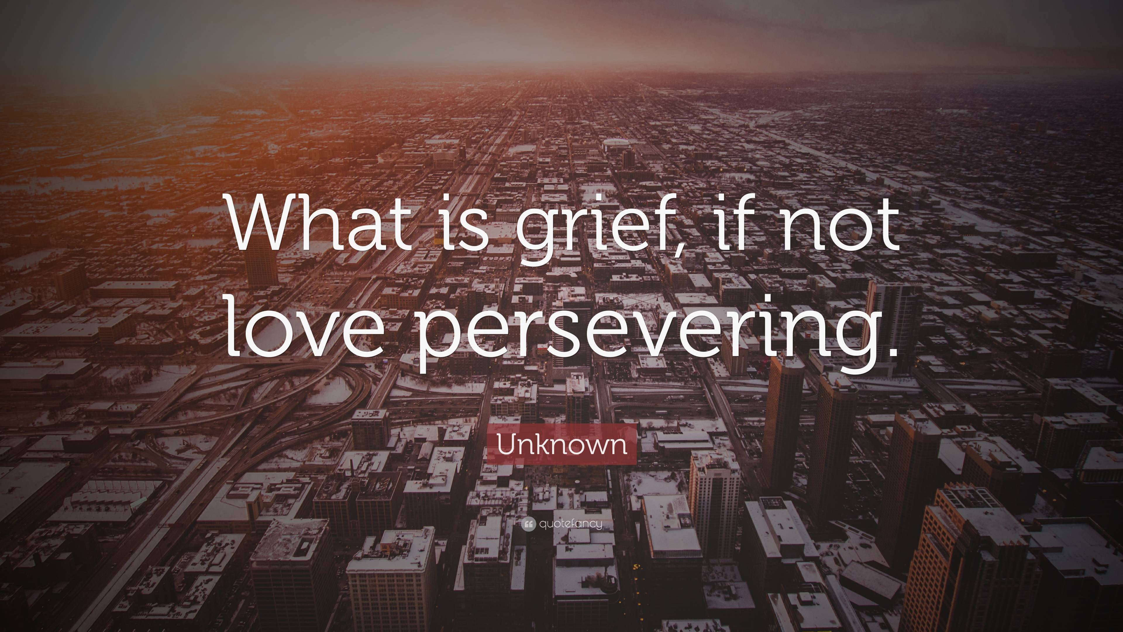 Unknown Quote “What is grief, if not love persevering.”