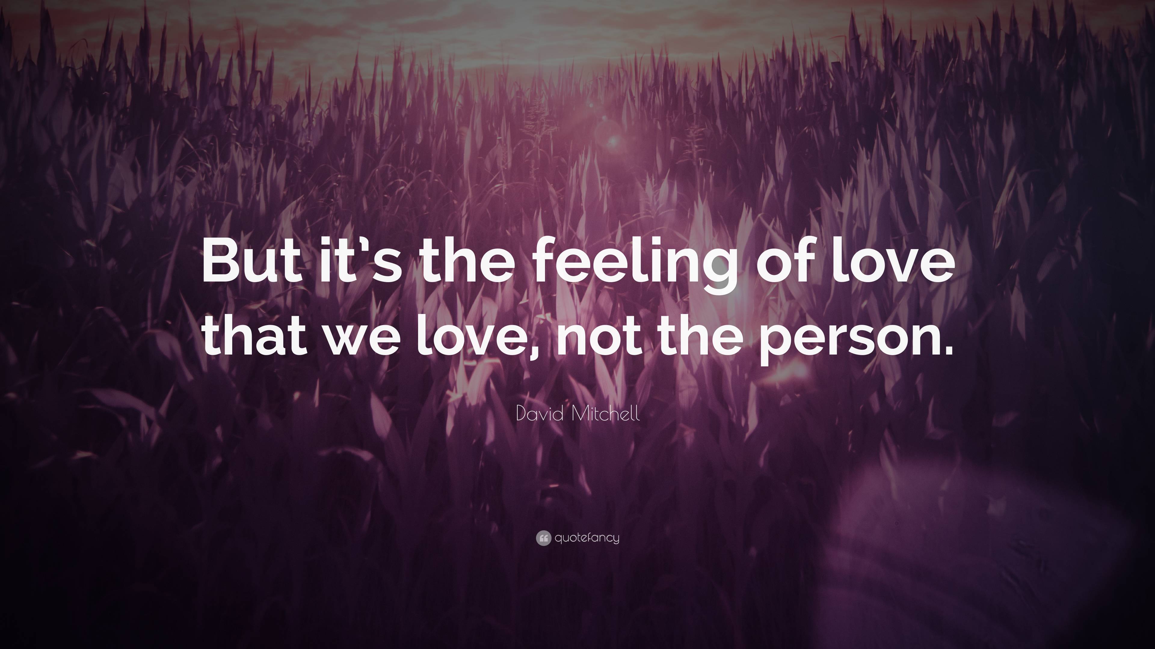 David Mitchell Quote: “But it’s the feeling of love that we love, not ...