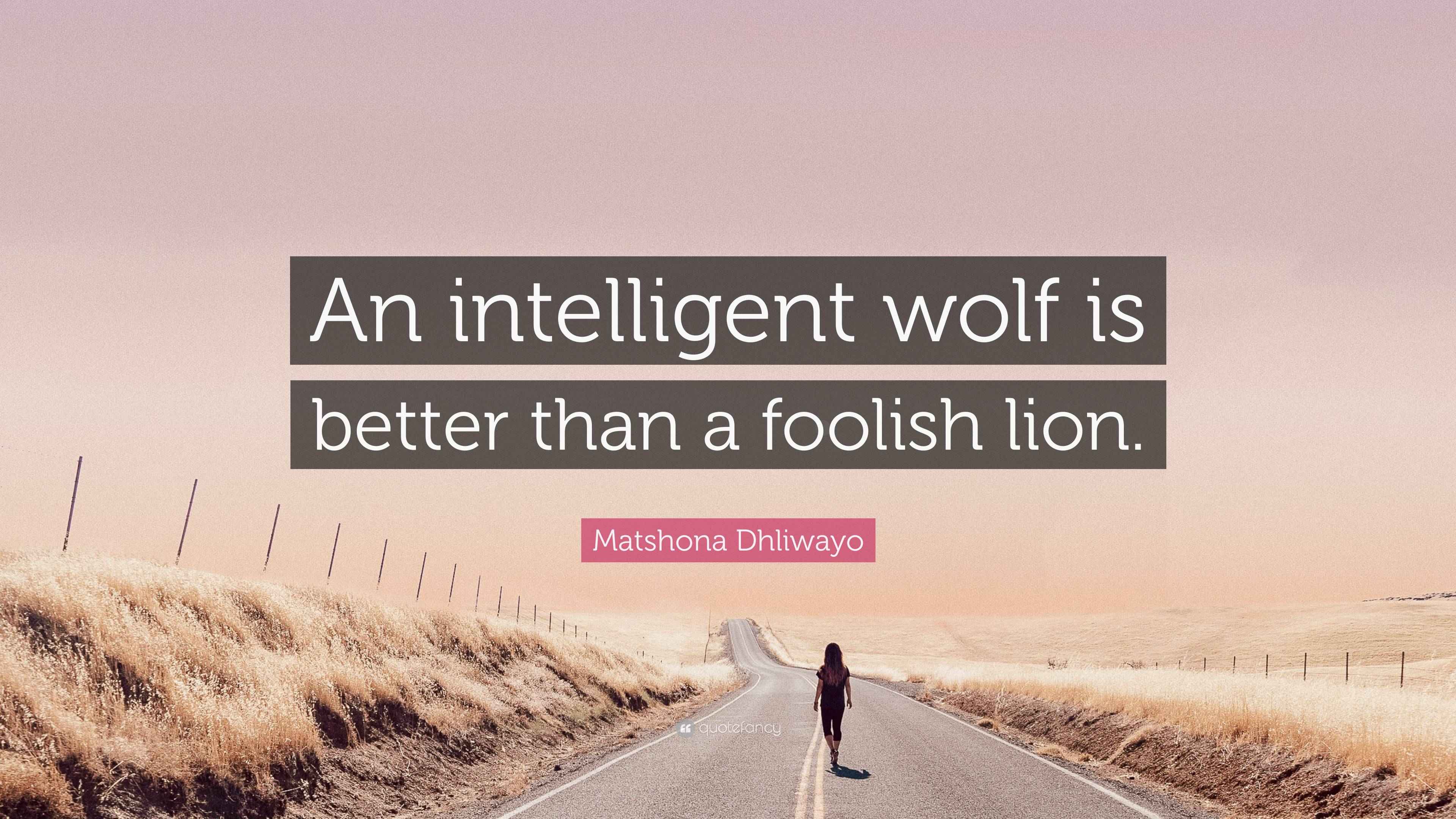 Matshona Dhliwayo Quote: “An intelligent wolf is better than a foolish ...