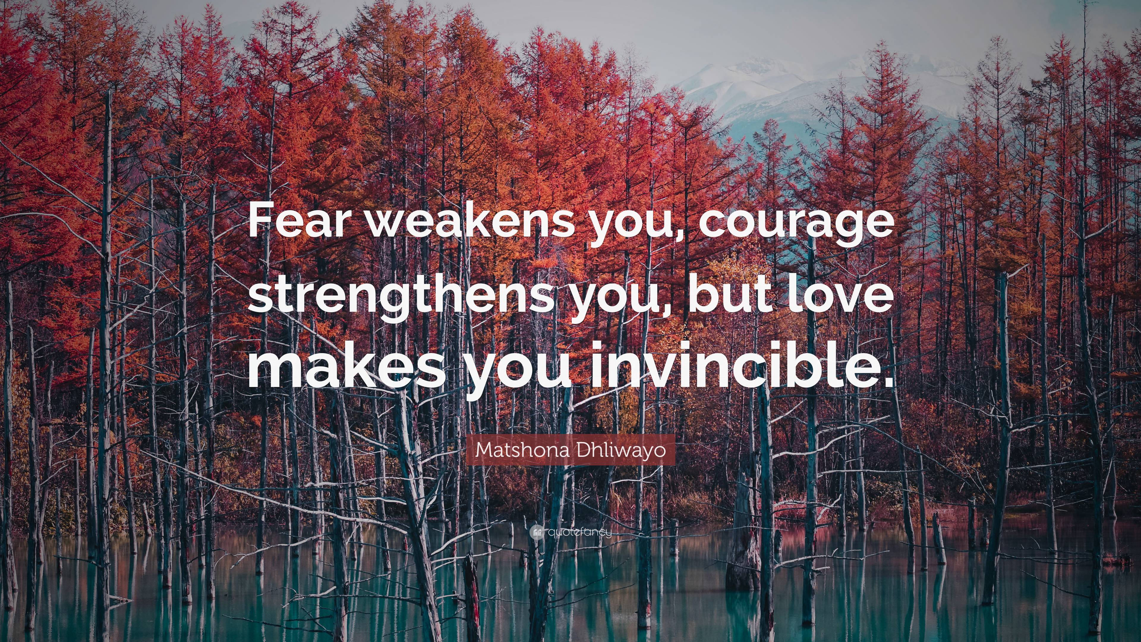 Matshona Dhliwayo Quote: “Fear weakens you, courage strengthens you ...