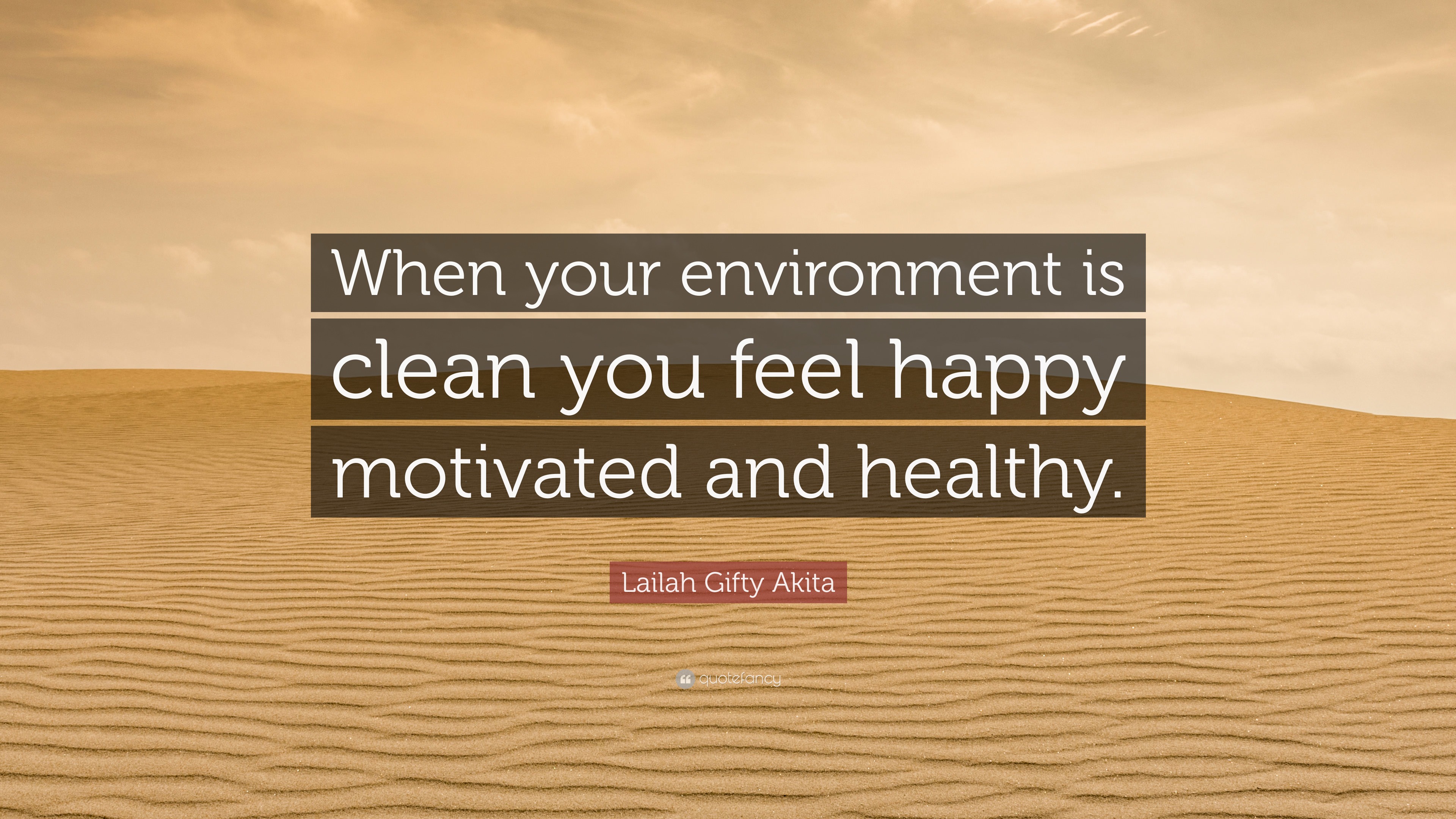 Lailah Gifty Akita Quote: “When your environment is clean you feel