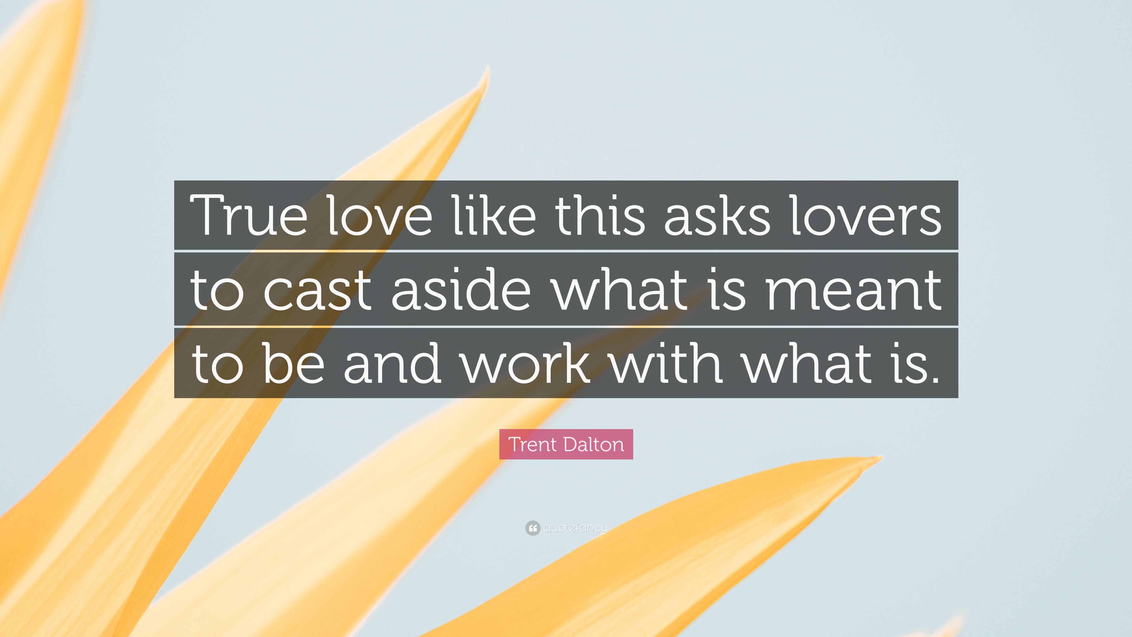 Trent Dalton Quote: “True love like this asks lovers to cast aside what is  meant to