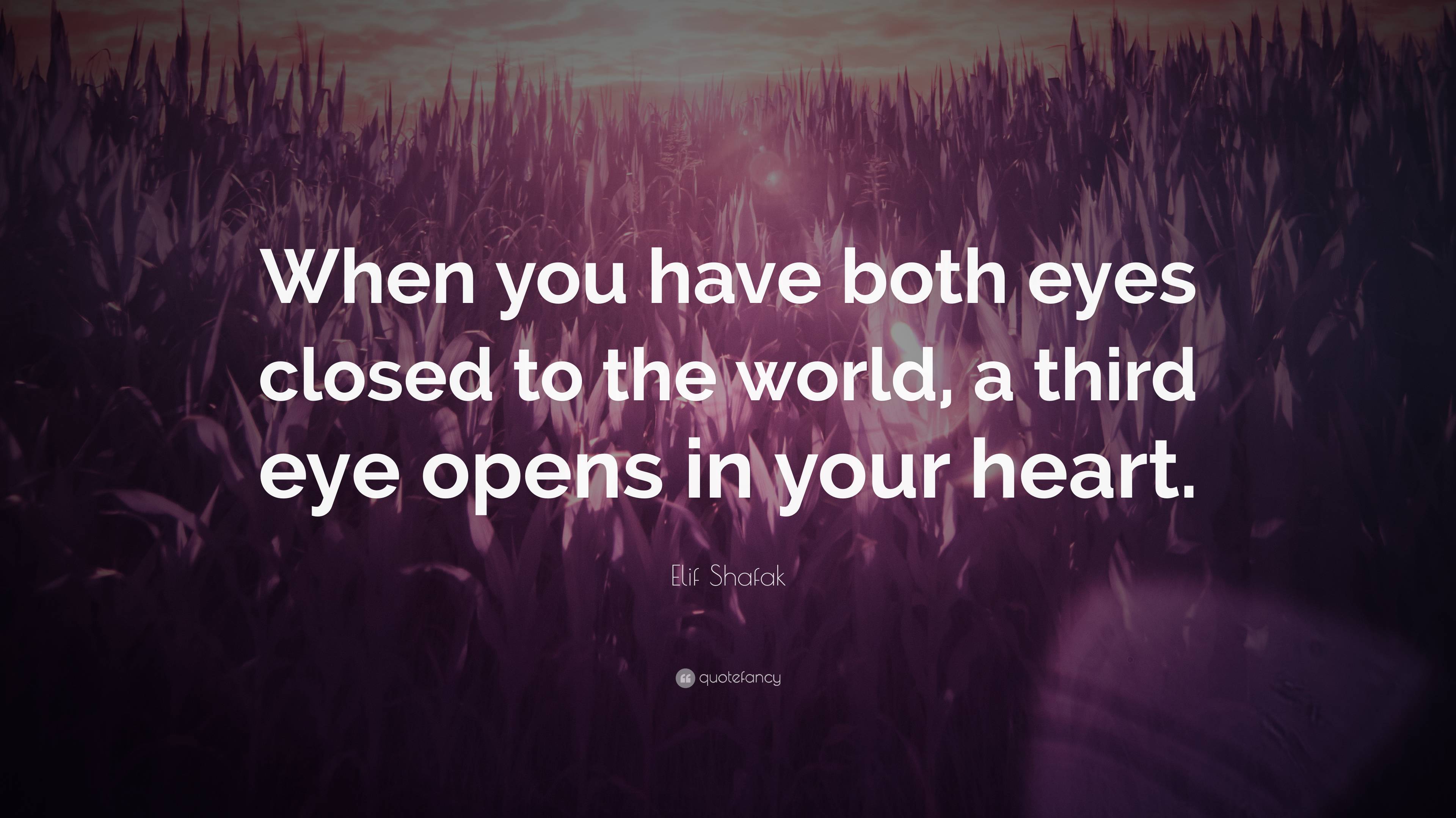 Elif Shafak Quote When you have both eyes closed to the world a