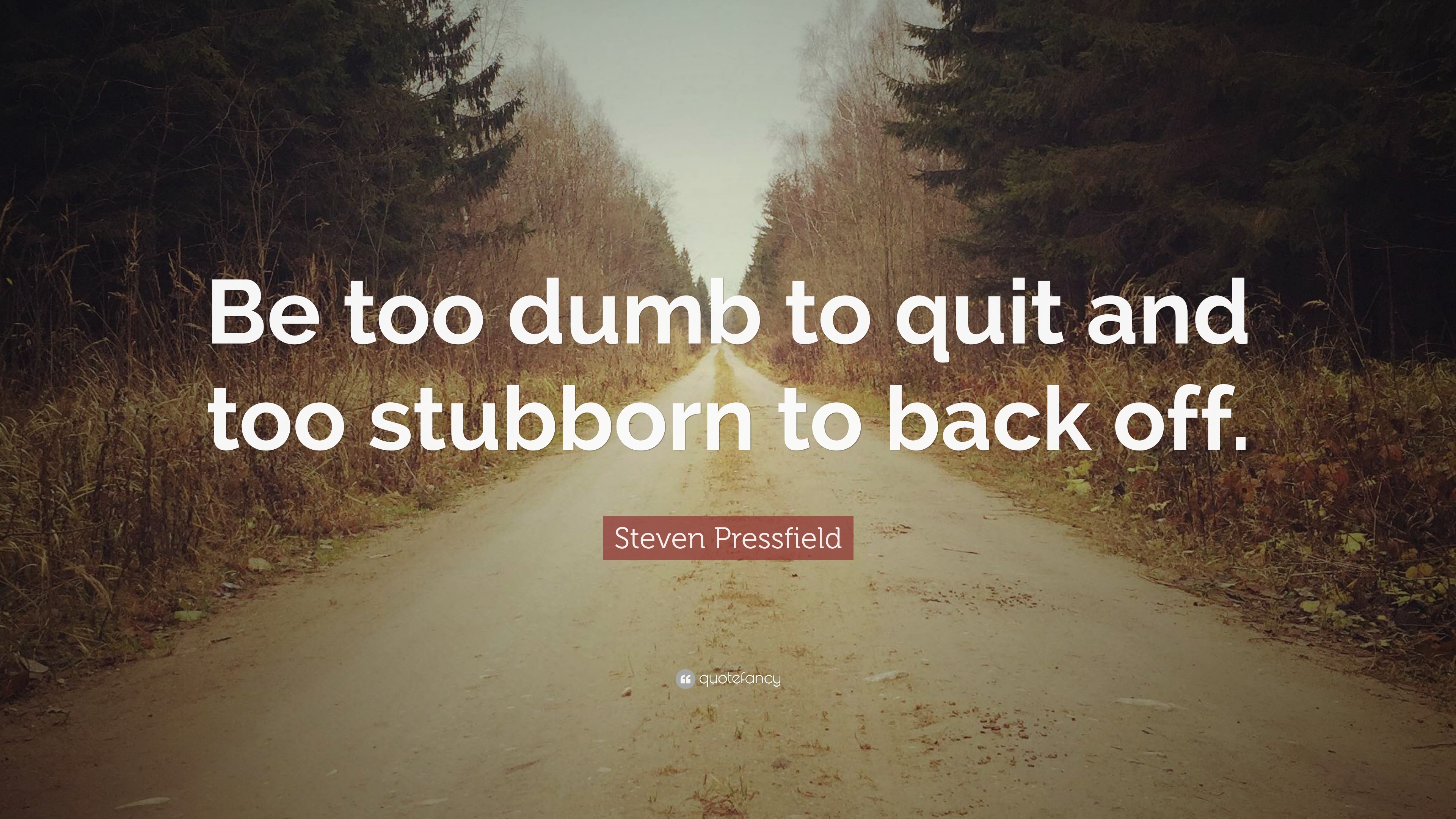 Steven Pressfield Quote: “Be too dumb to quit and too stubborn to back ...